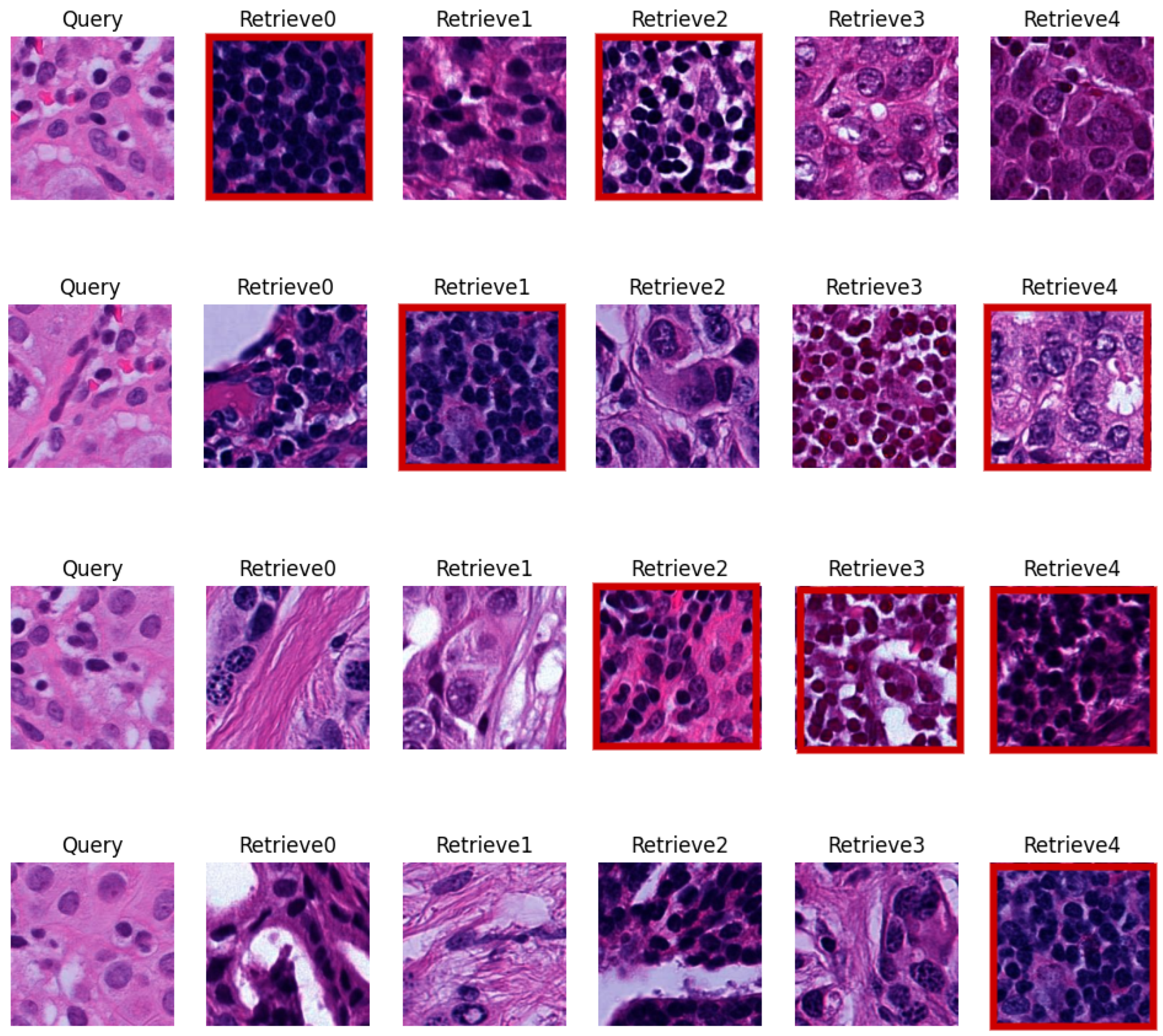 Applsci 14 02063 g008