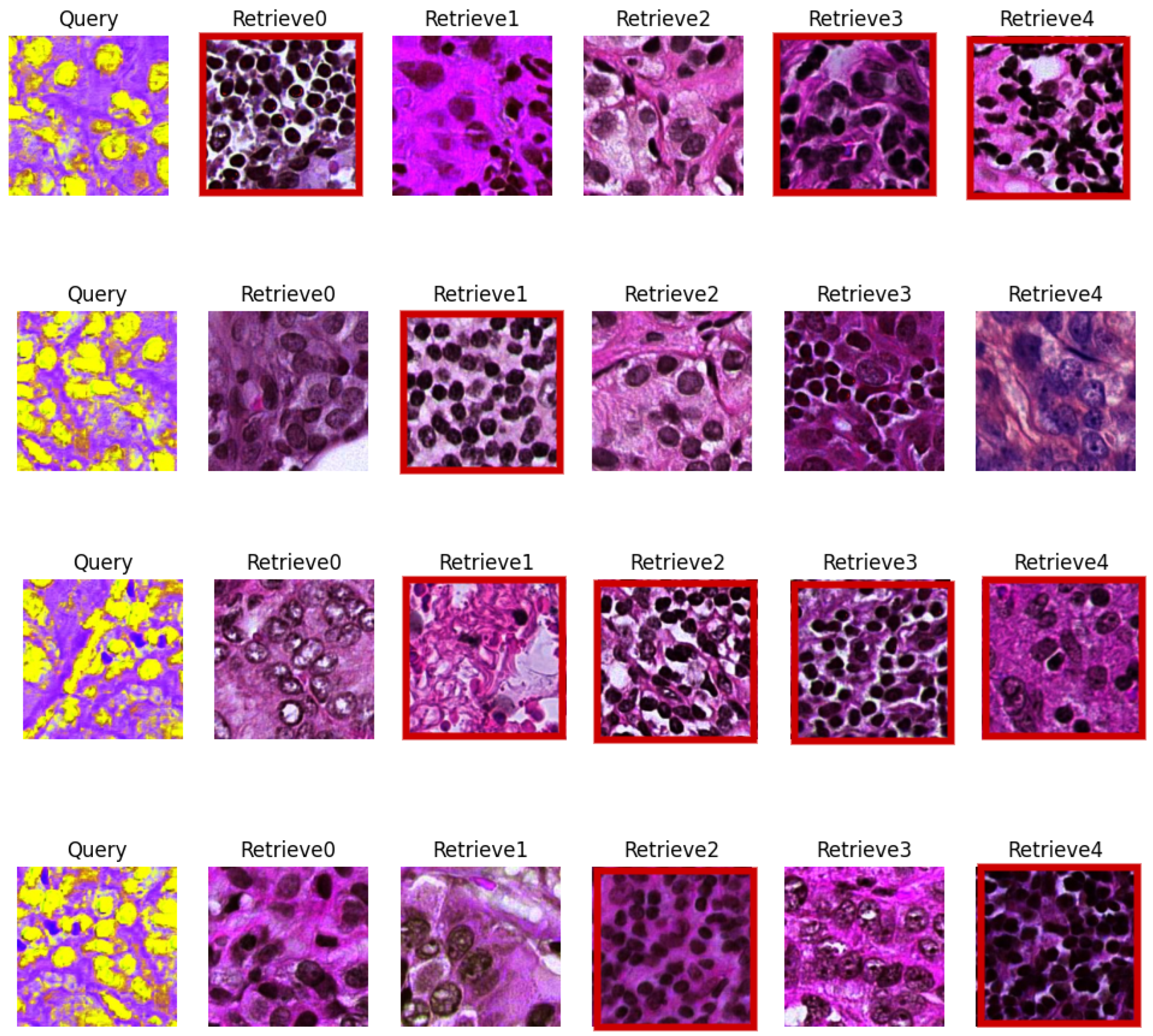 Applsci 14 02063 g009