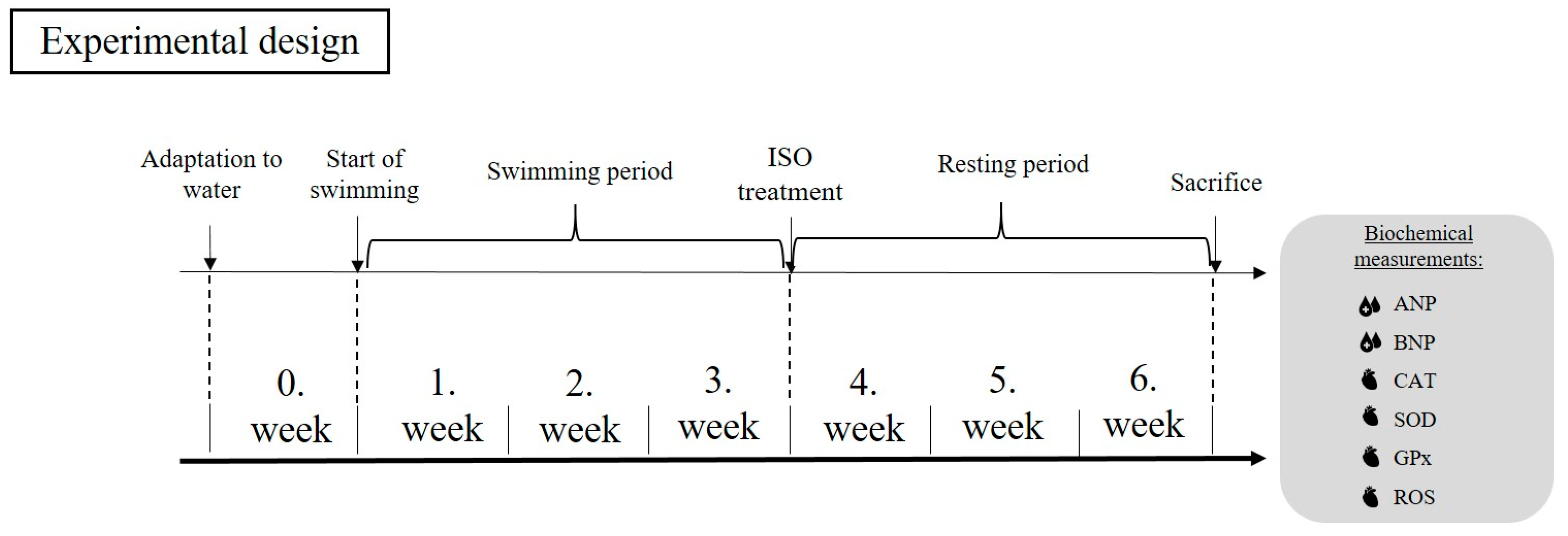 Applsci 14 02073 g001 Applsci 14 02073 g001