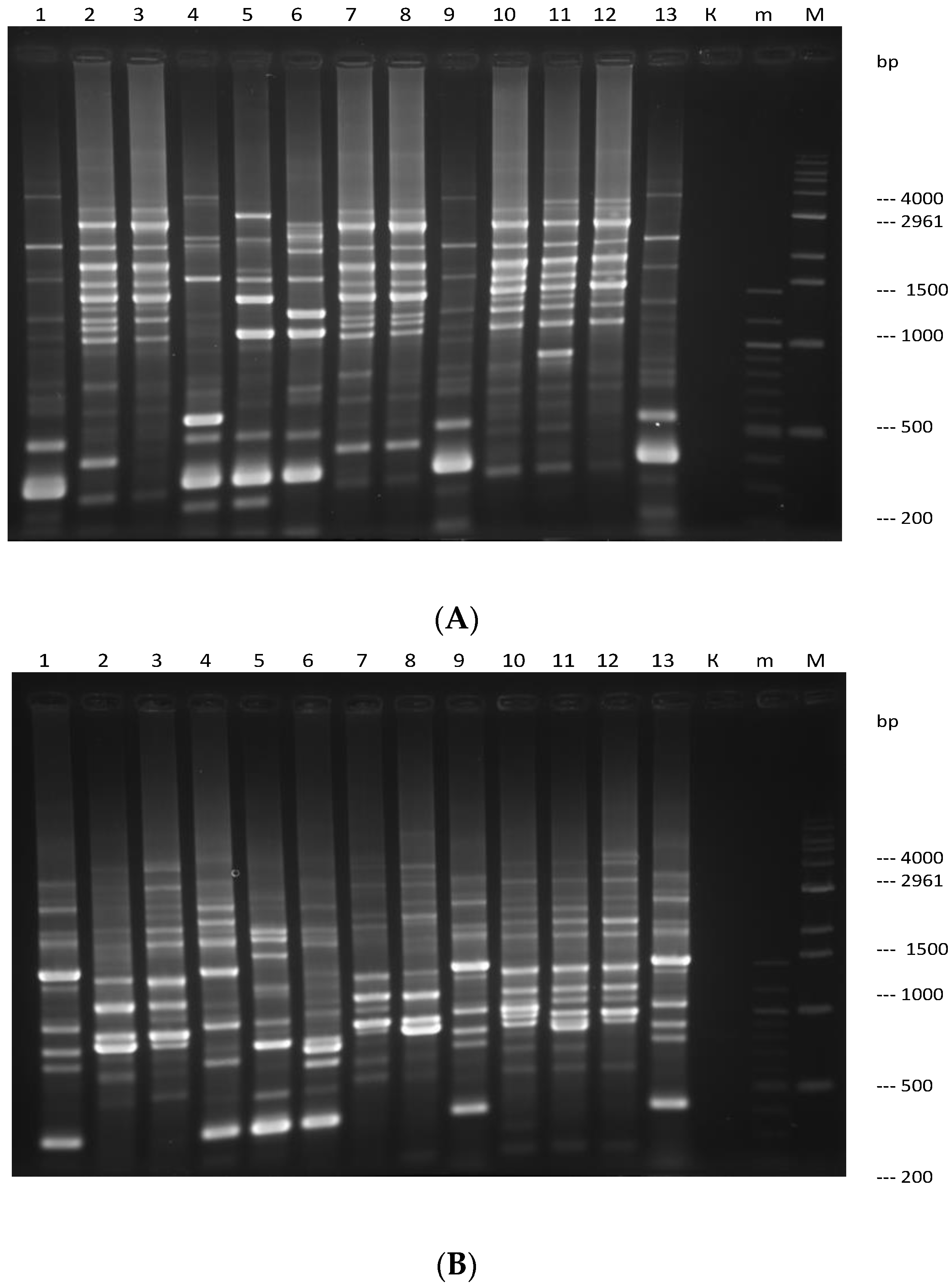 Applsci 14 02093 g002 Applsci 14 02093 g002