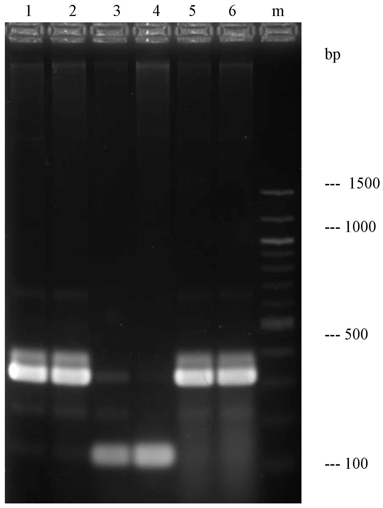 Applsci 14 02093 g003 Applsci 14 02093 g003