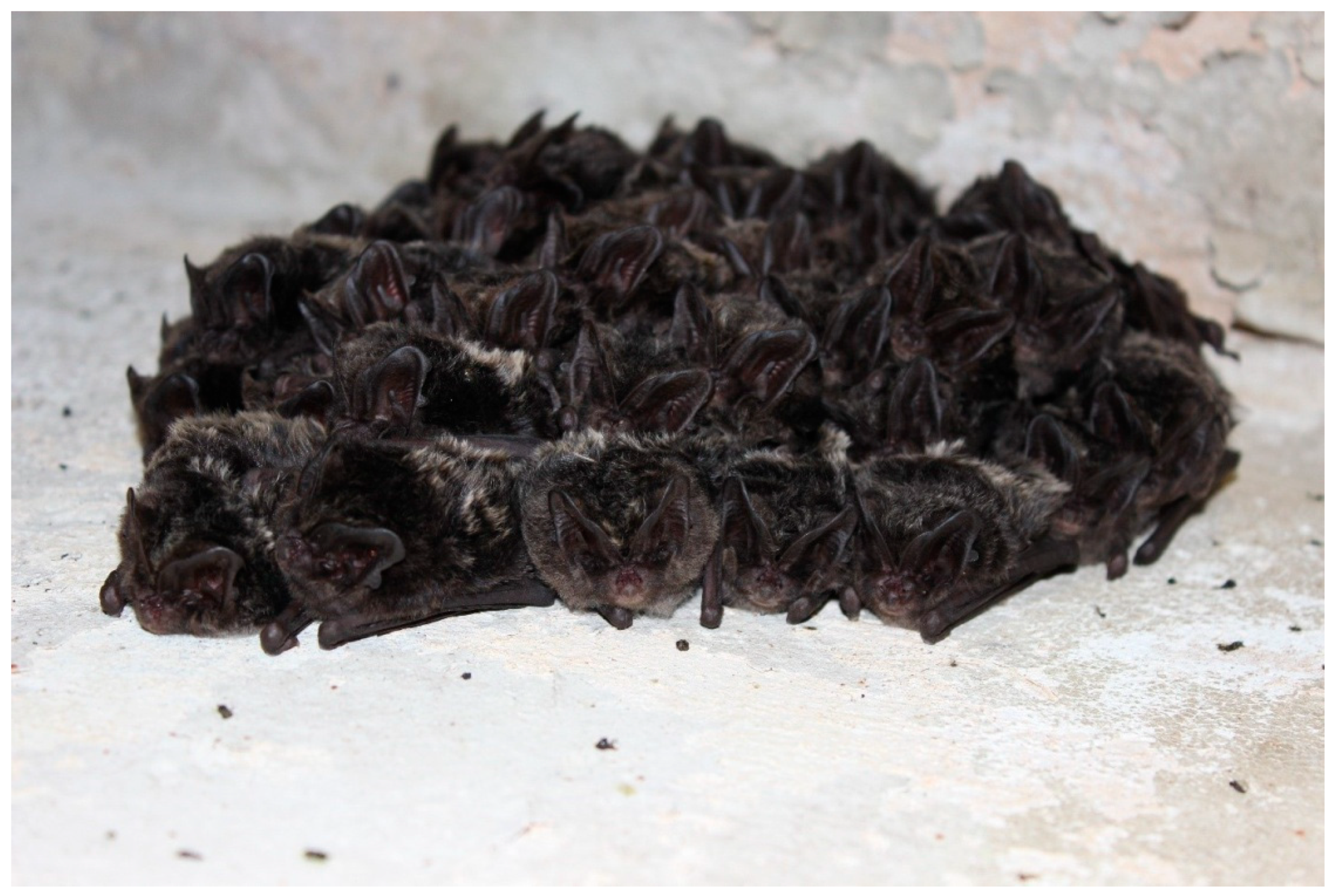 Applsci 14 02125 g002