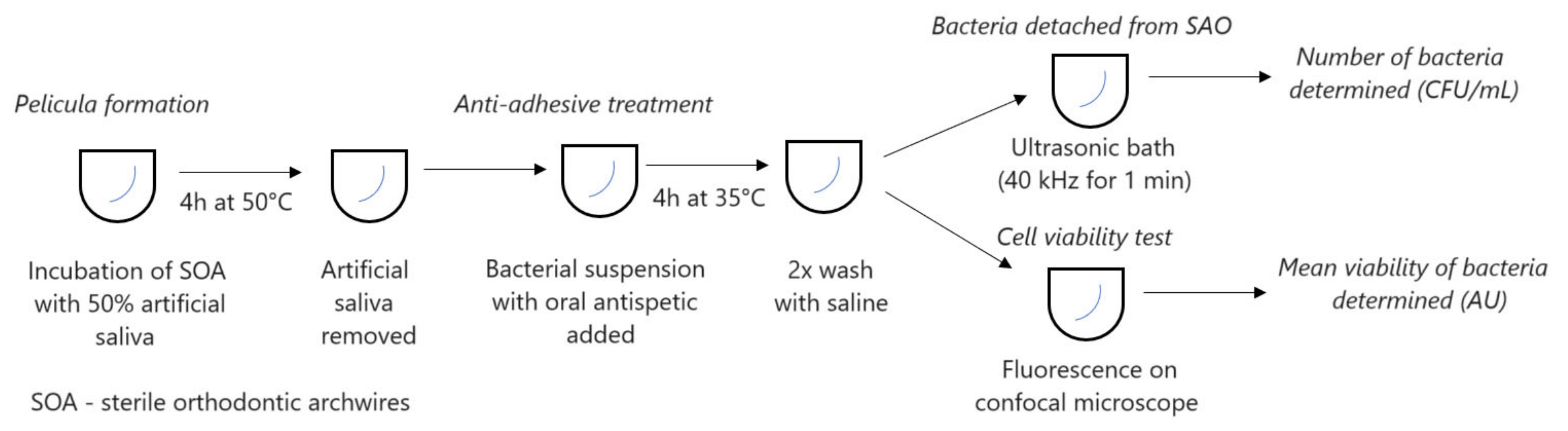 Applsci 14 02145 g001