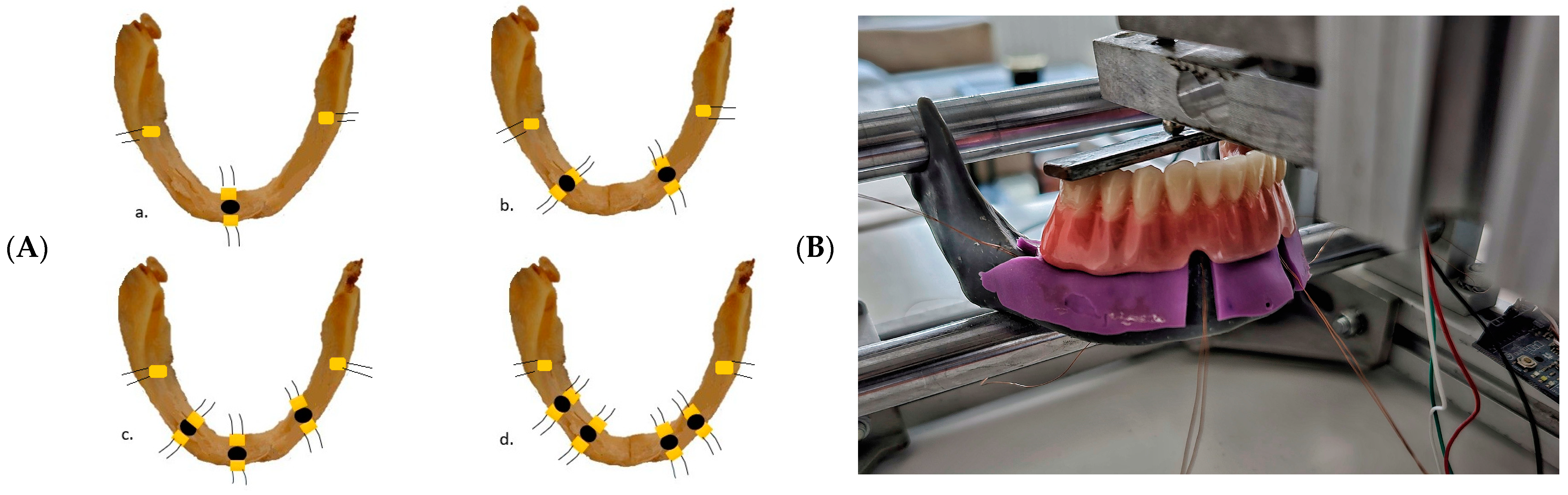 Applsci 14 02150 g001