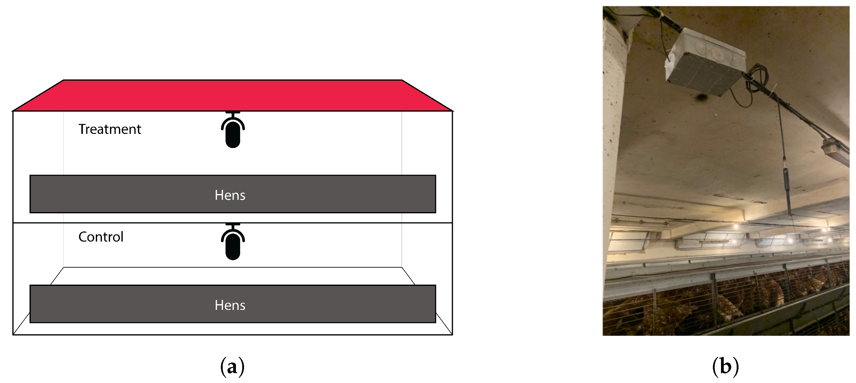 Applsci 14 02156 g001