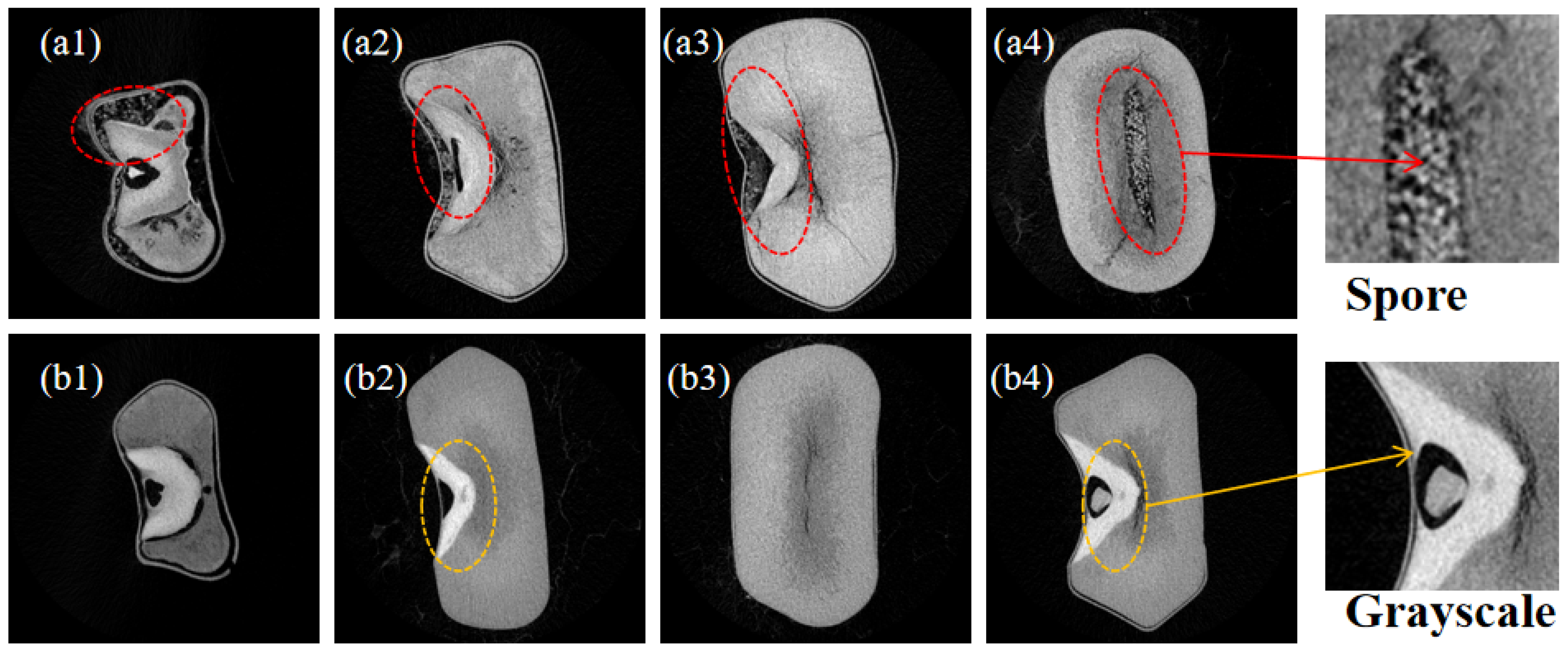Applsci 14 02166 g002