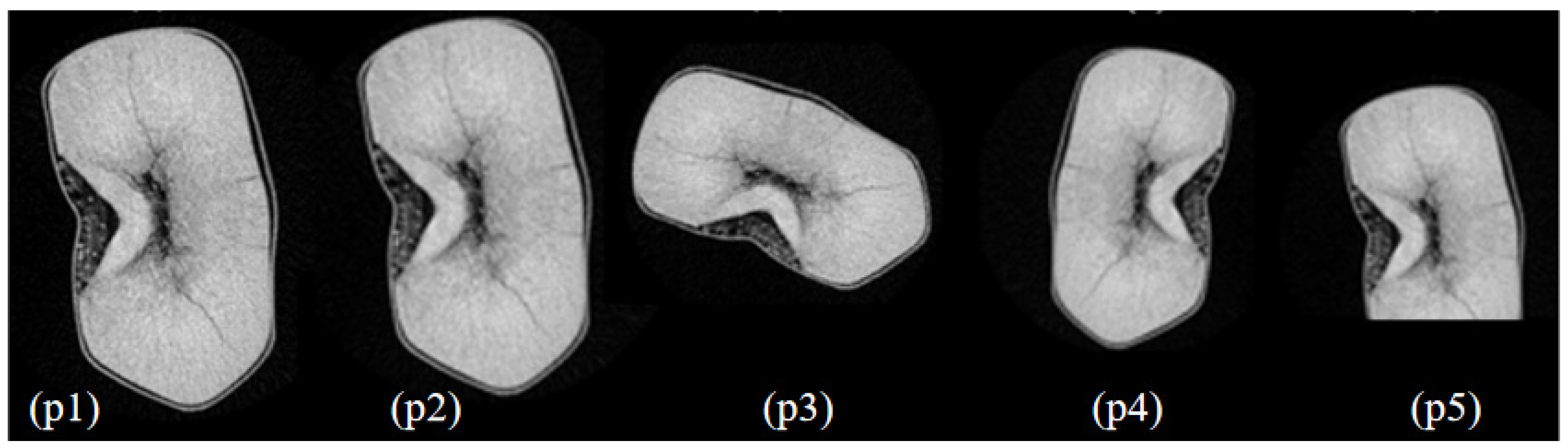 Applsci 14 02166 g003