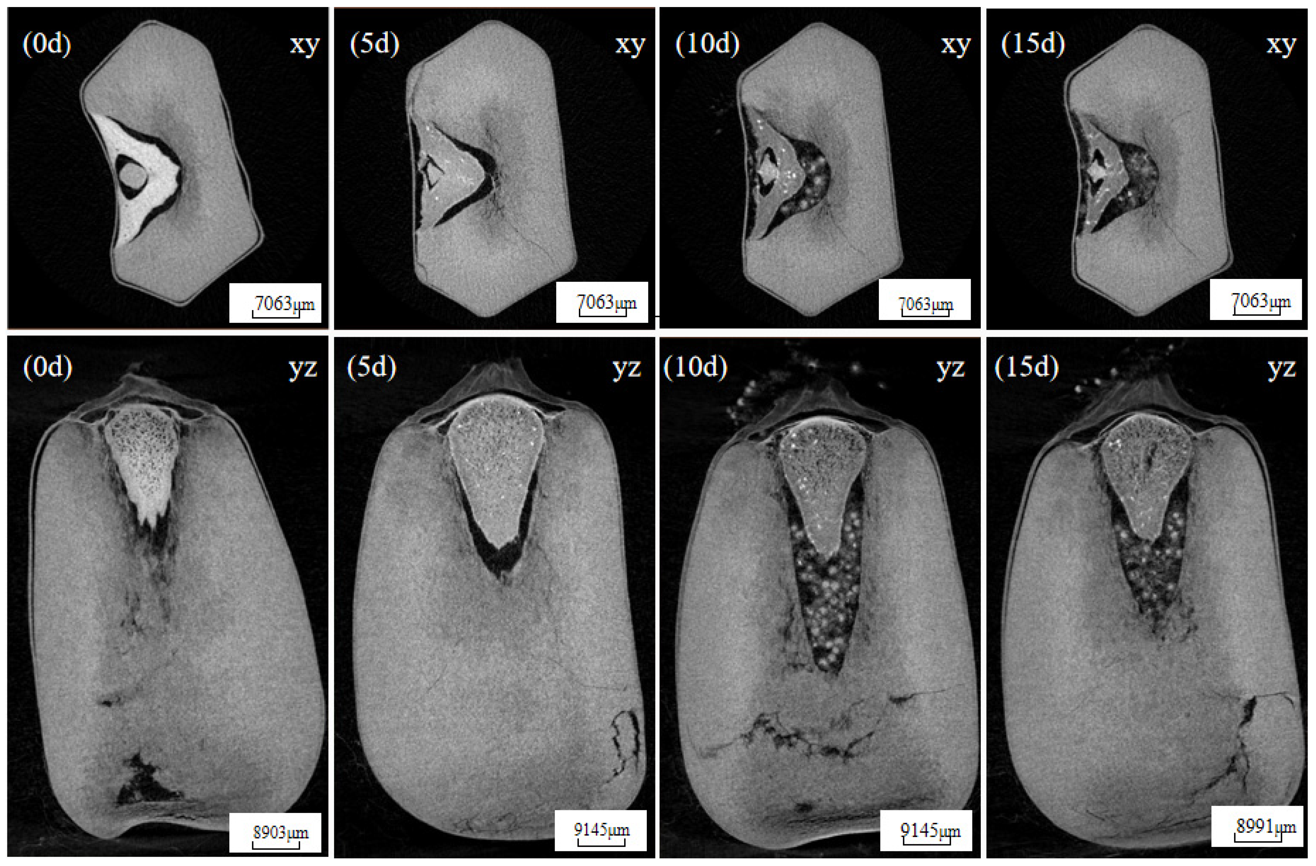 Applsci 14 02166 g005
