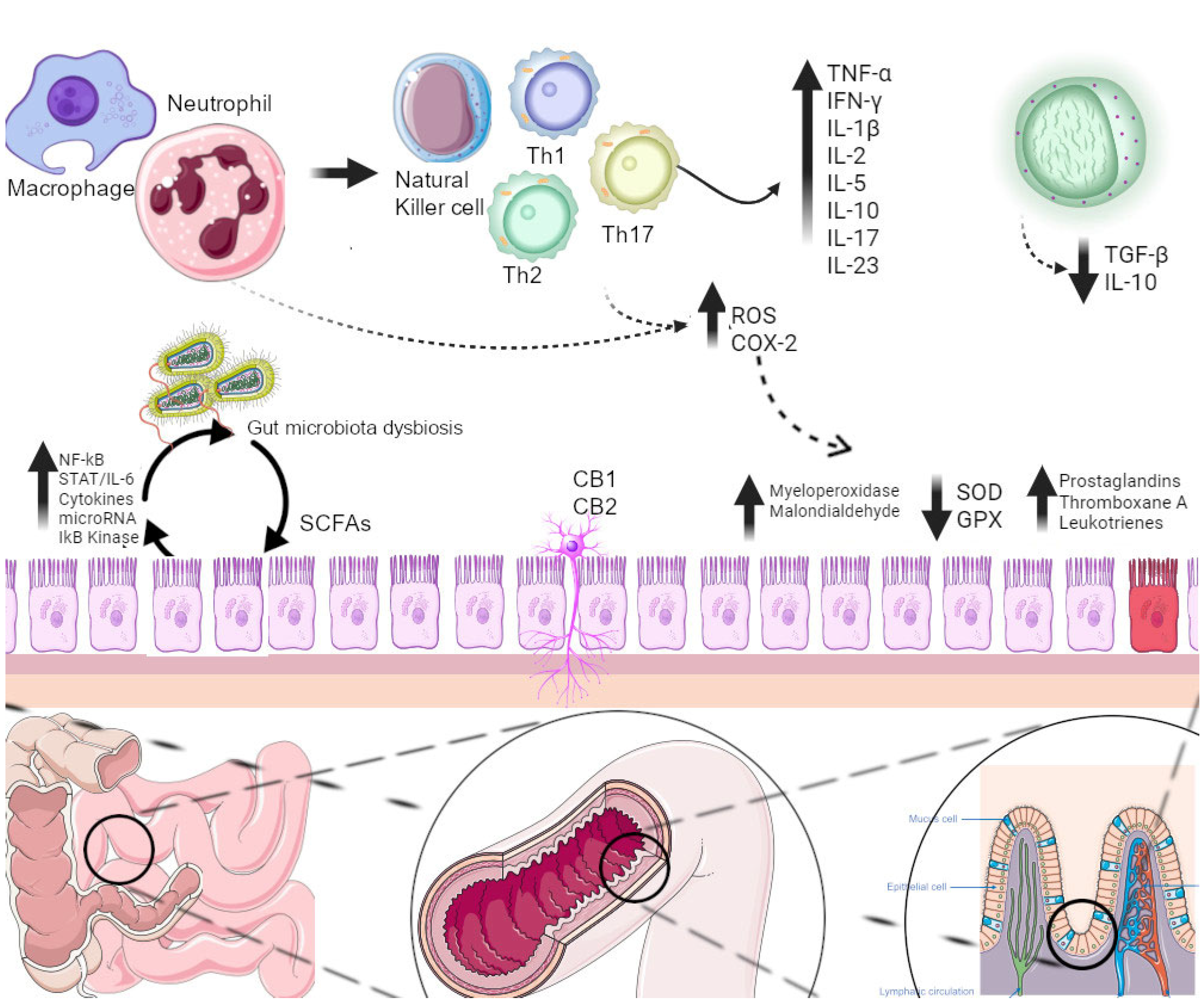 Applsci 14 02177 g006