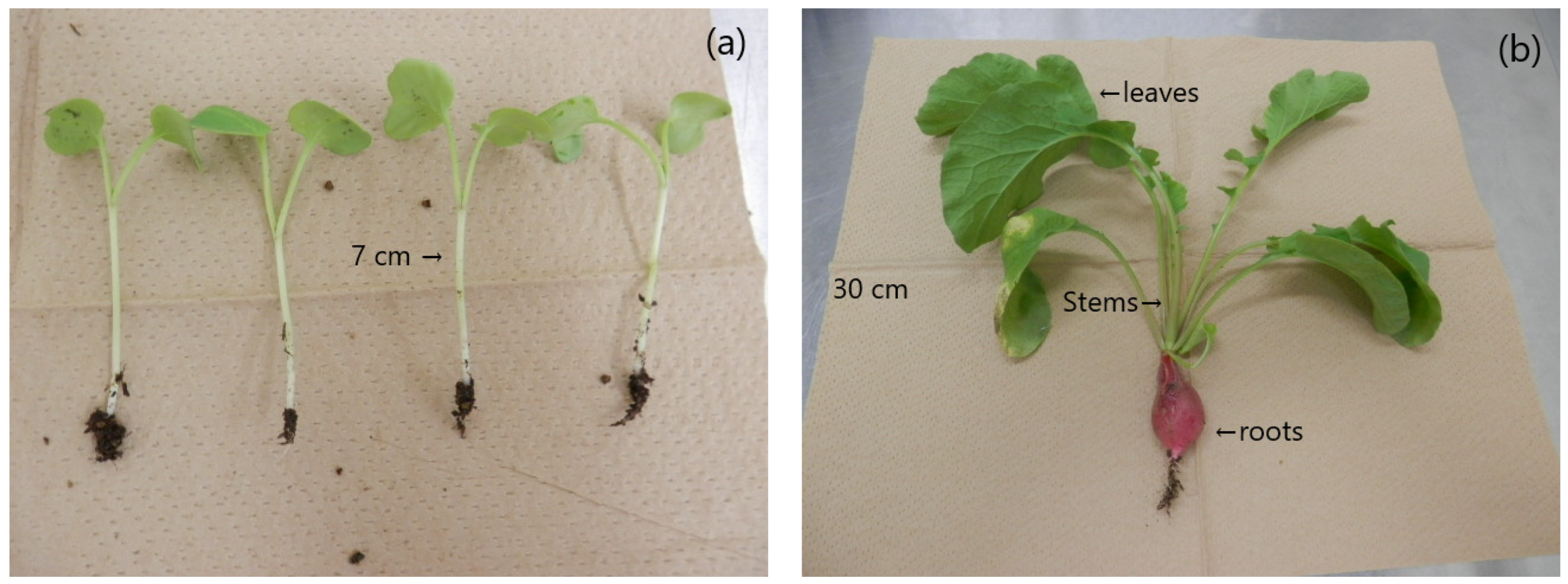 Applsci 14 02178 g001