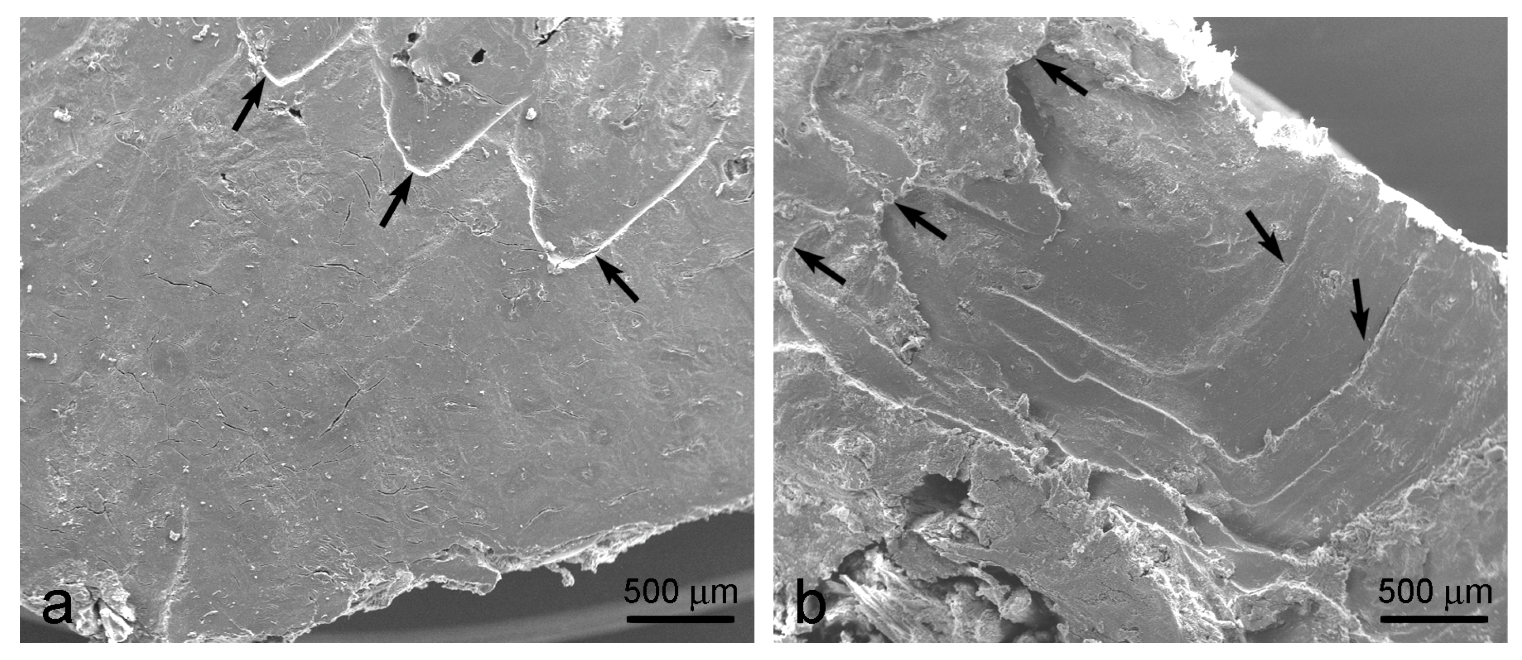 Applsci 14 02203 g005