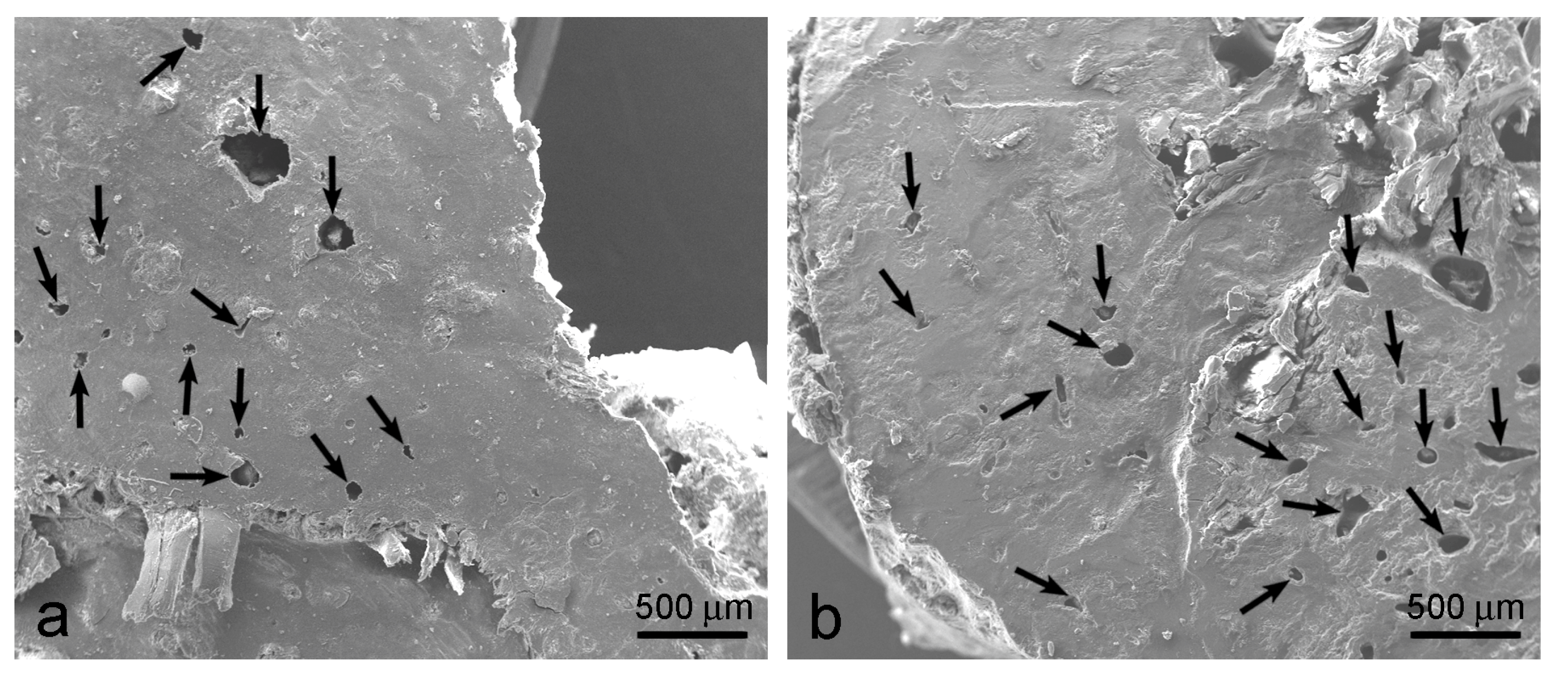 Applsci 14 02203 g007