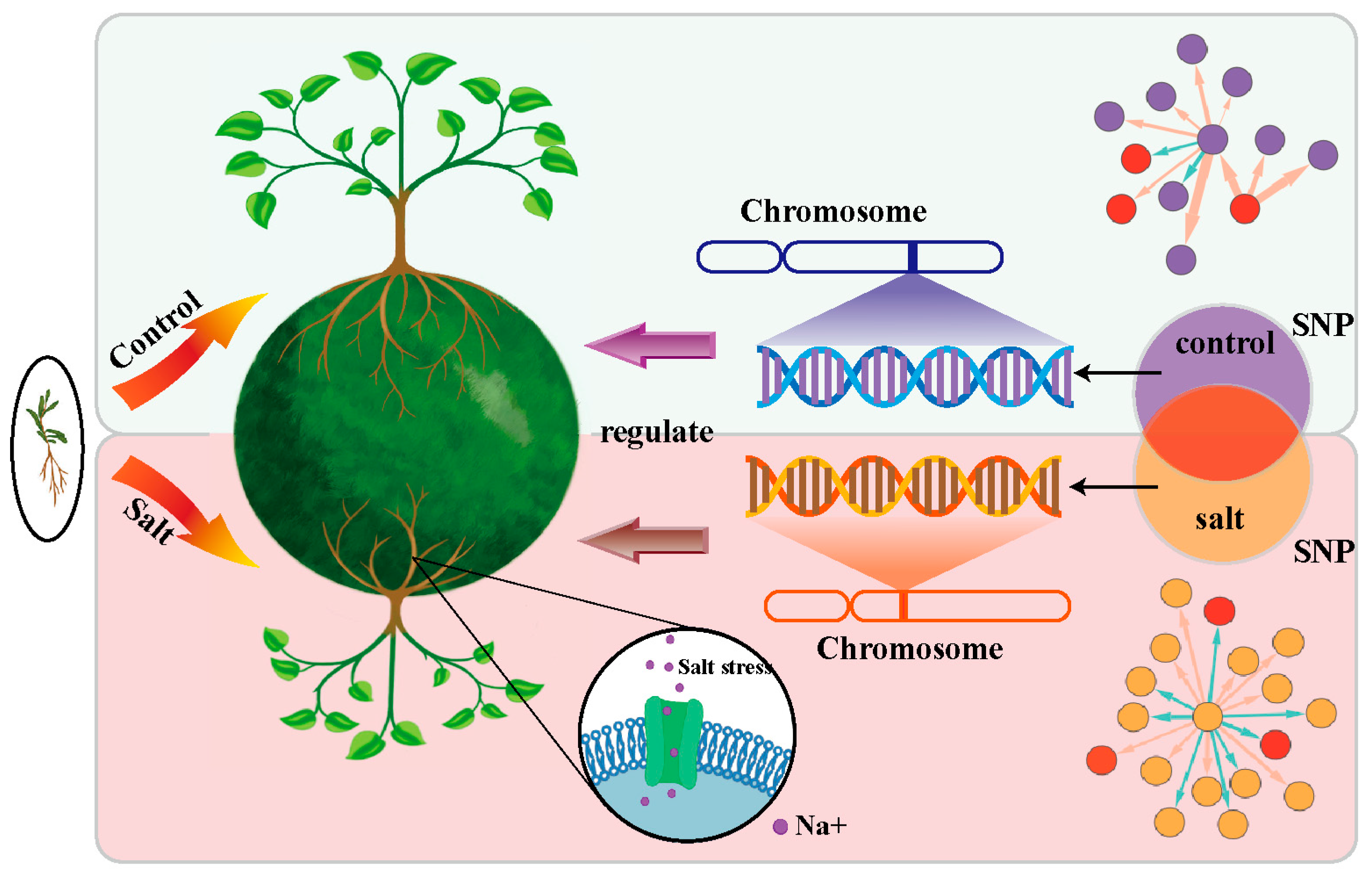 Applsci 14 02225 g001