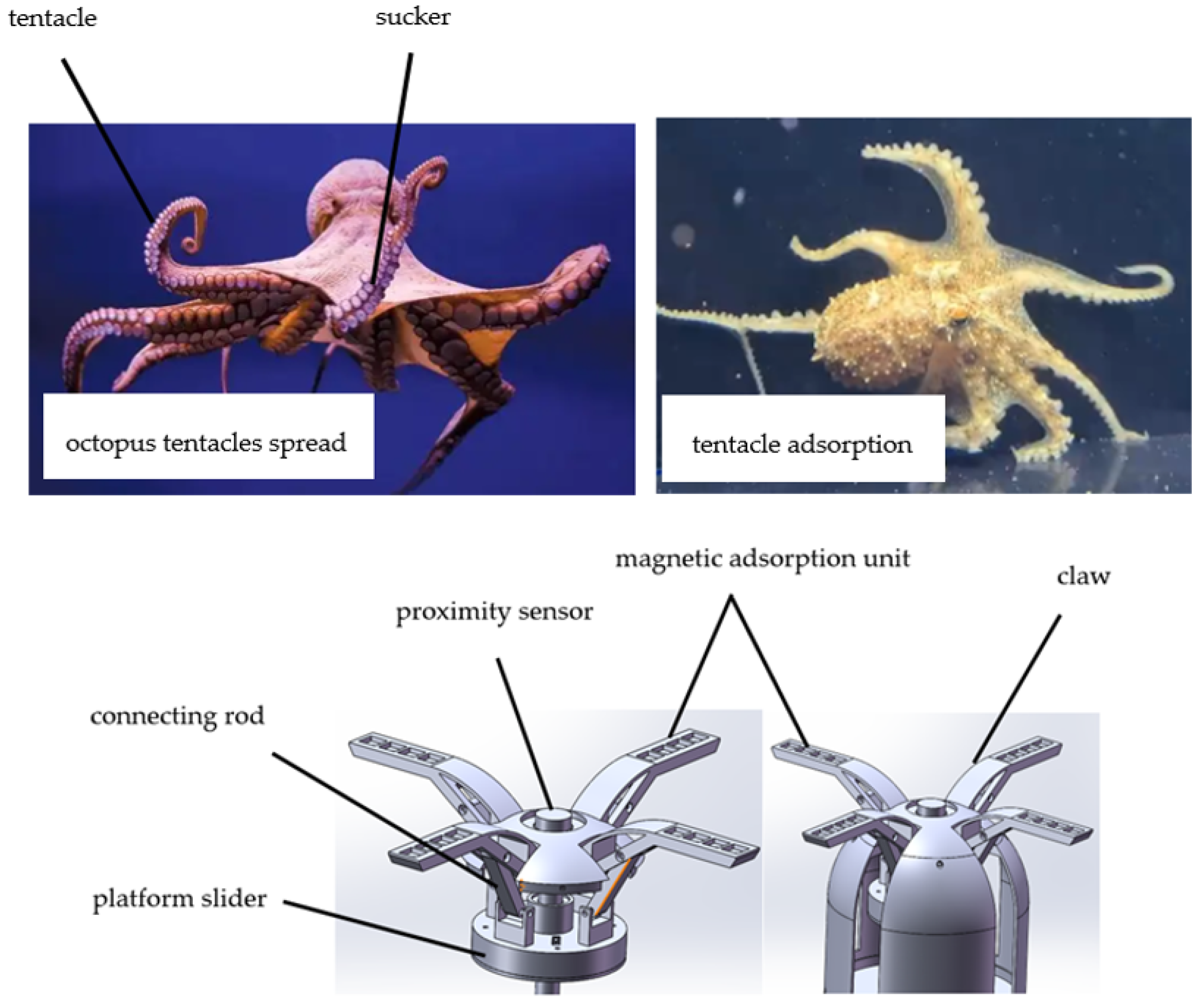 Applsci 14 02250 g002