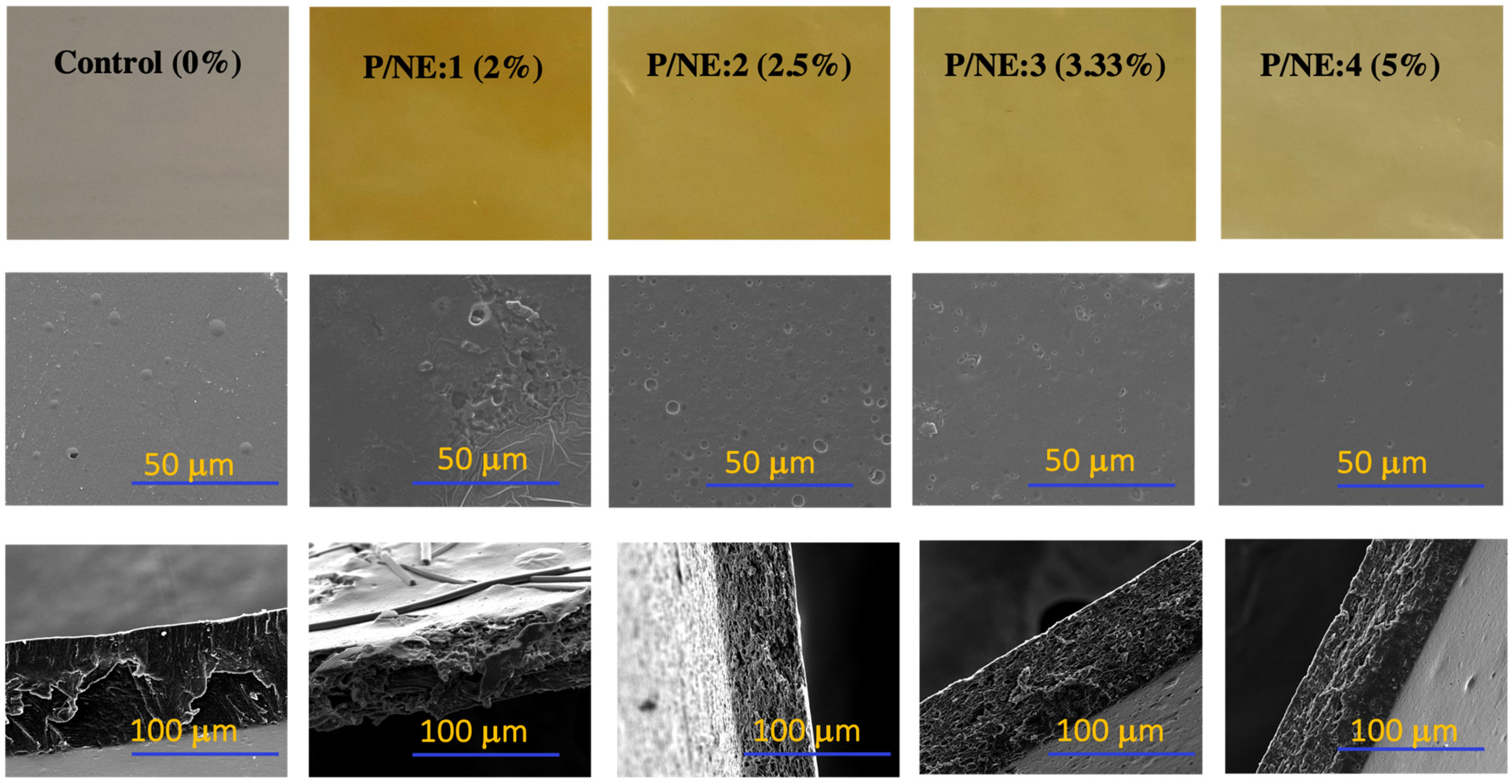 Applsci 14 02256 g001