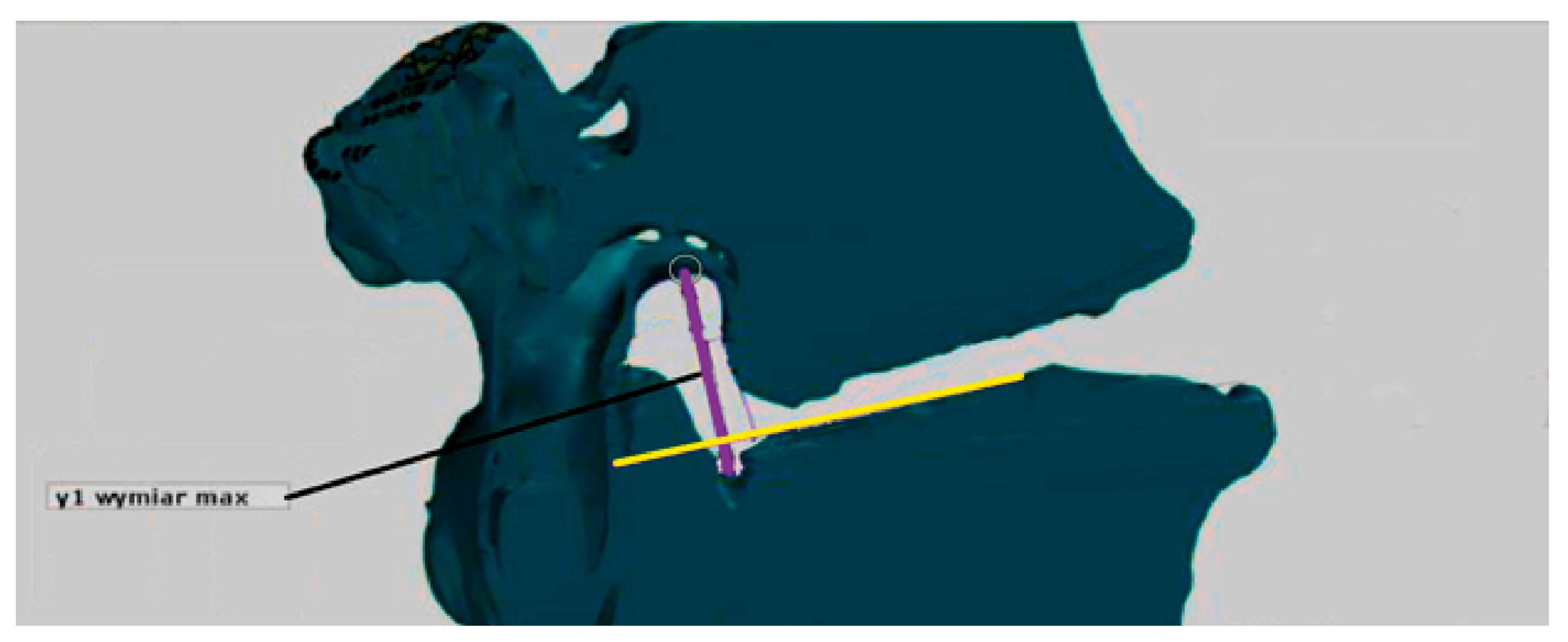 Applsci 14 02263 g001