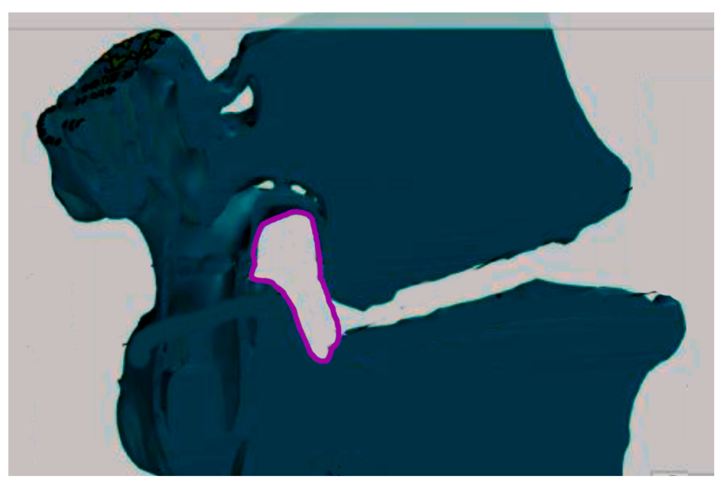 Applsci 14 02263 g002