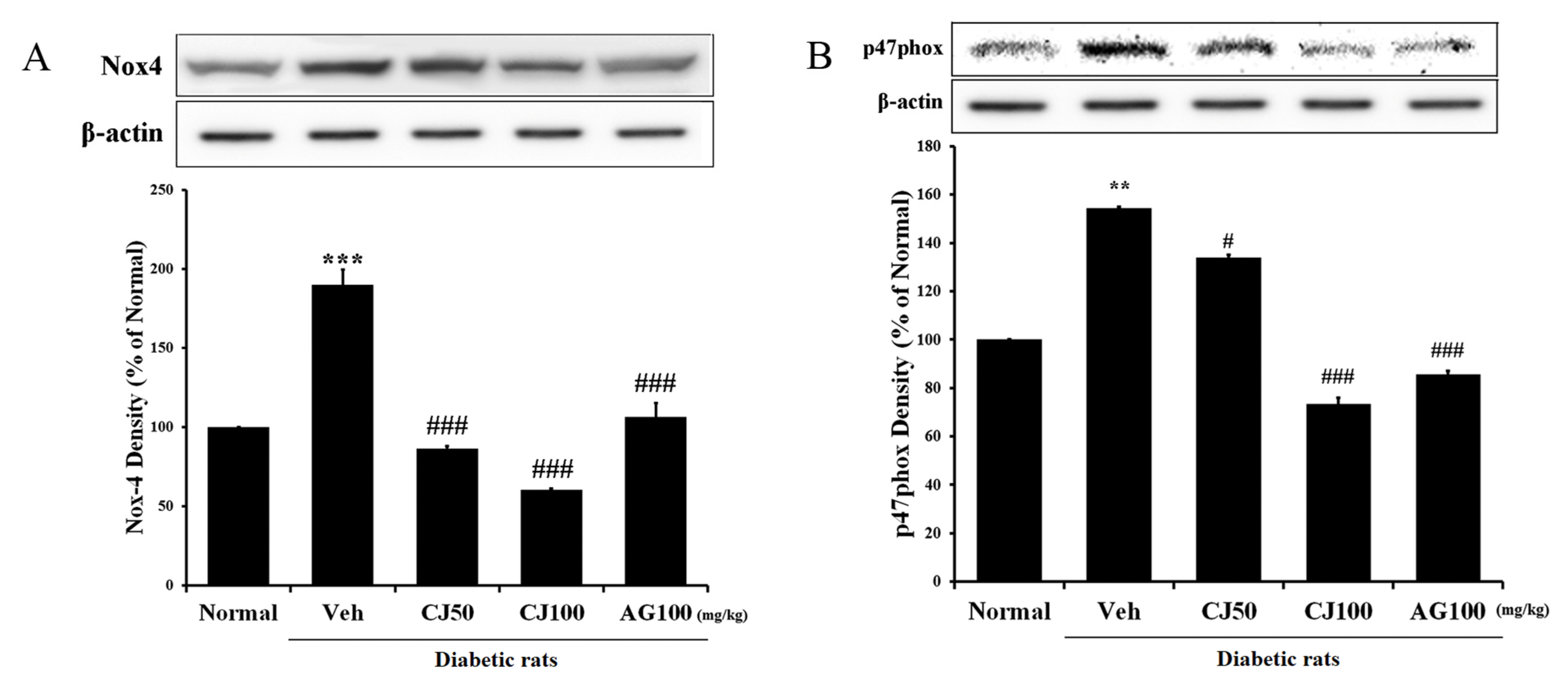 Applsci 14 02266 g002