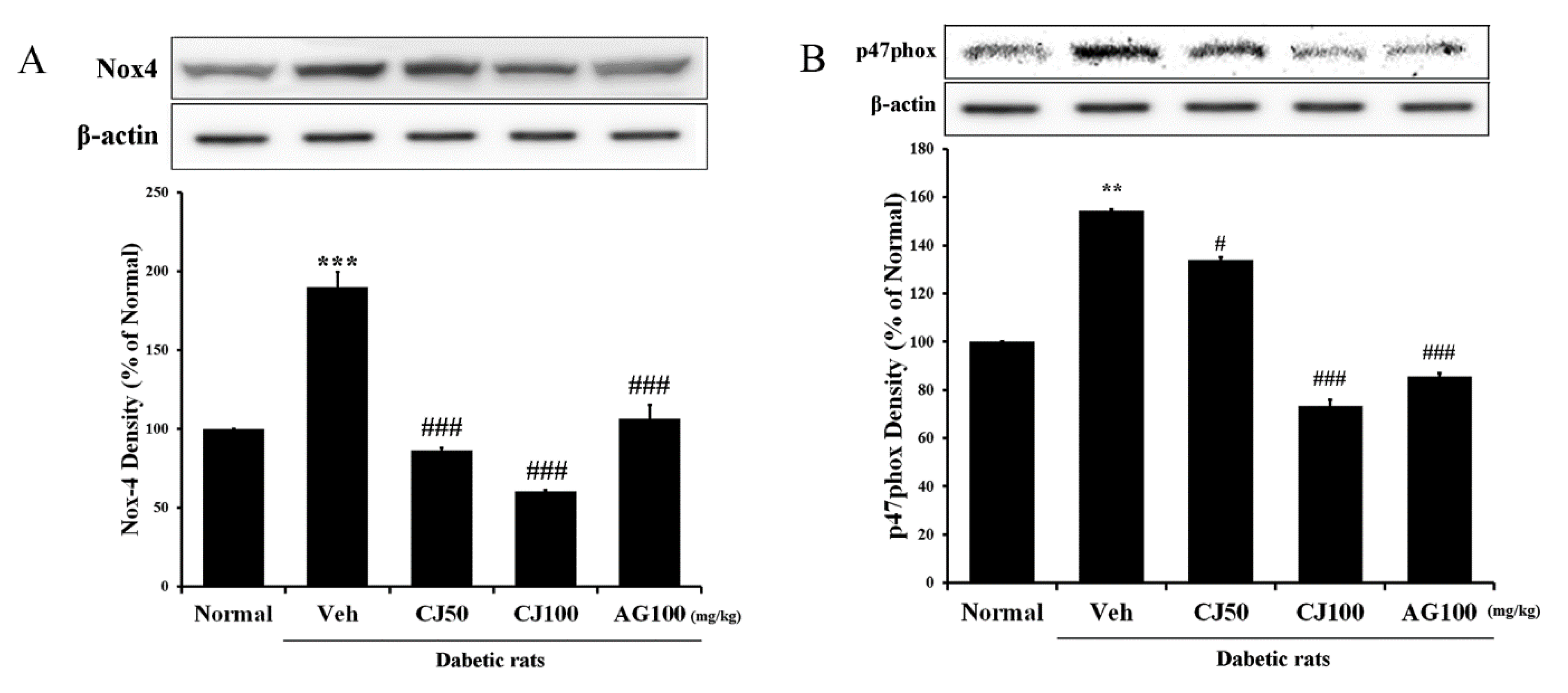 Applsci 14 02266 g004