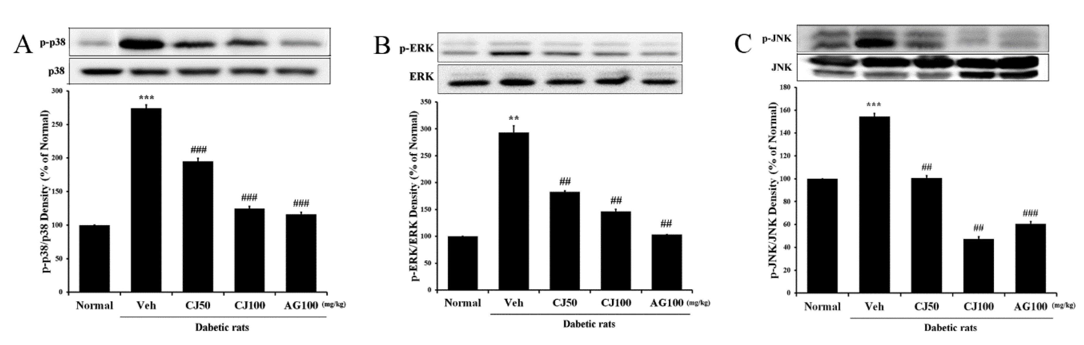 Applsci 14 02266 g006