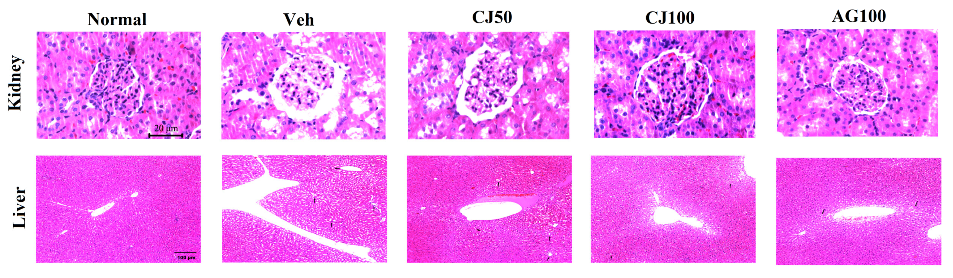 Applsci 14 02266 g010