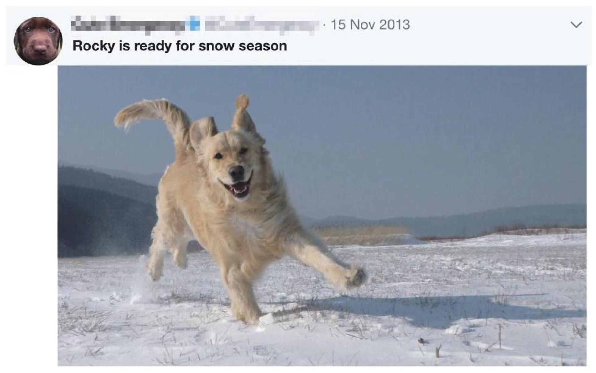 Applsci 14 02333 g001