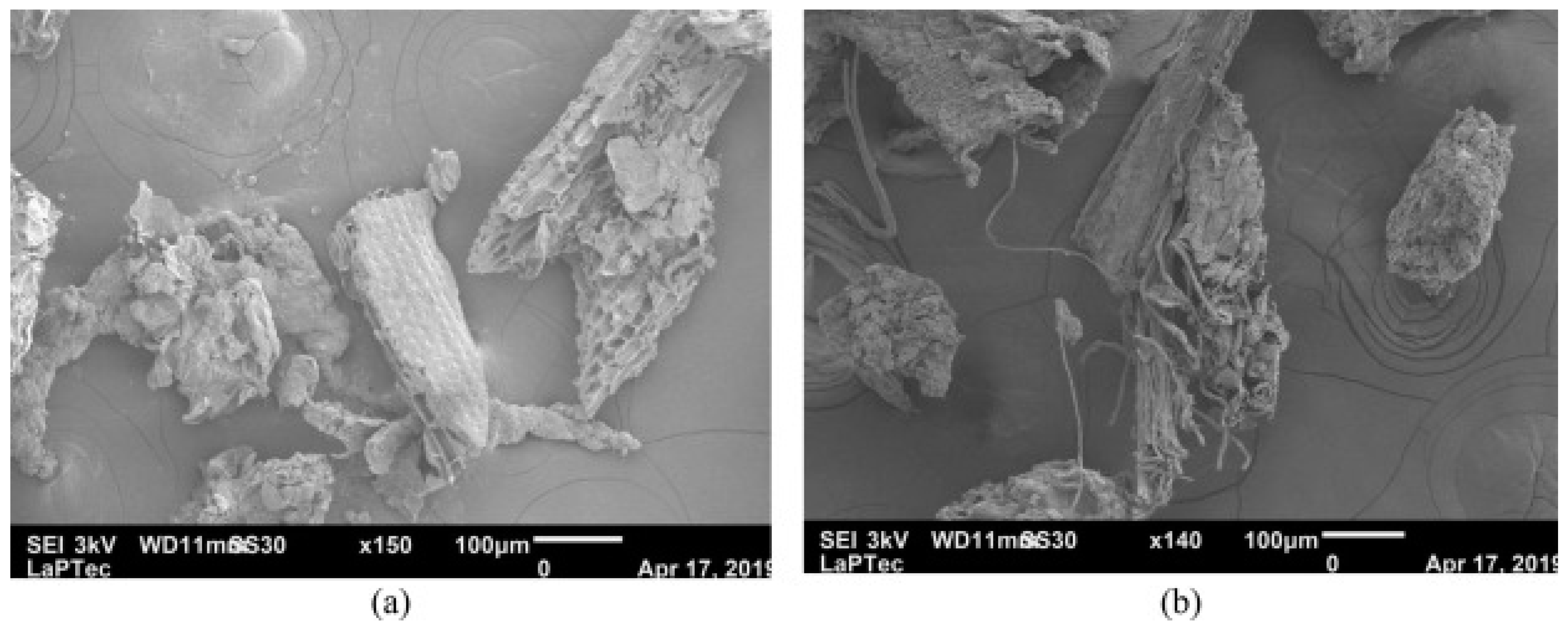 Applsci 14 02355 g002