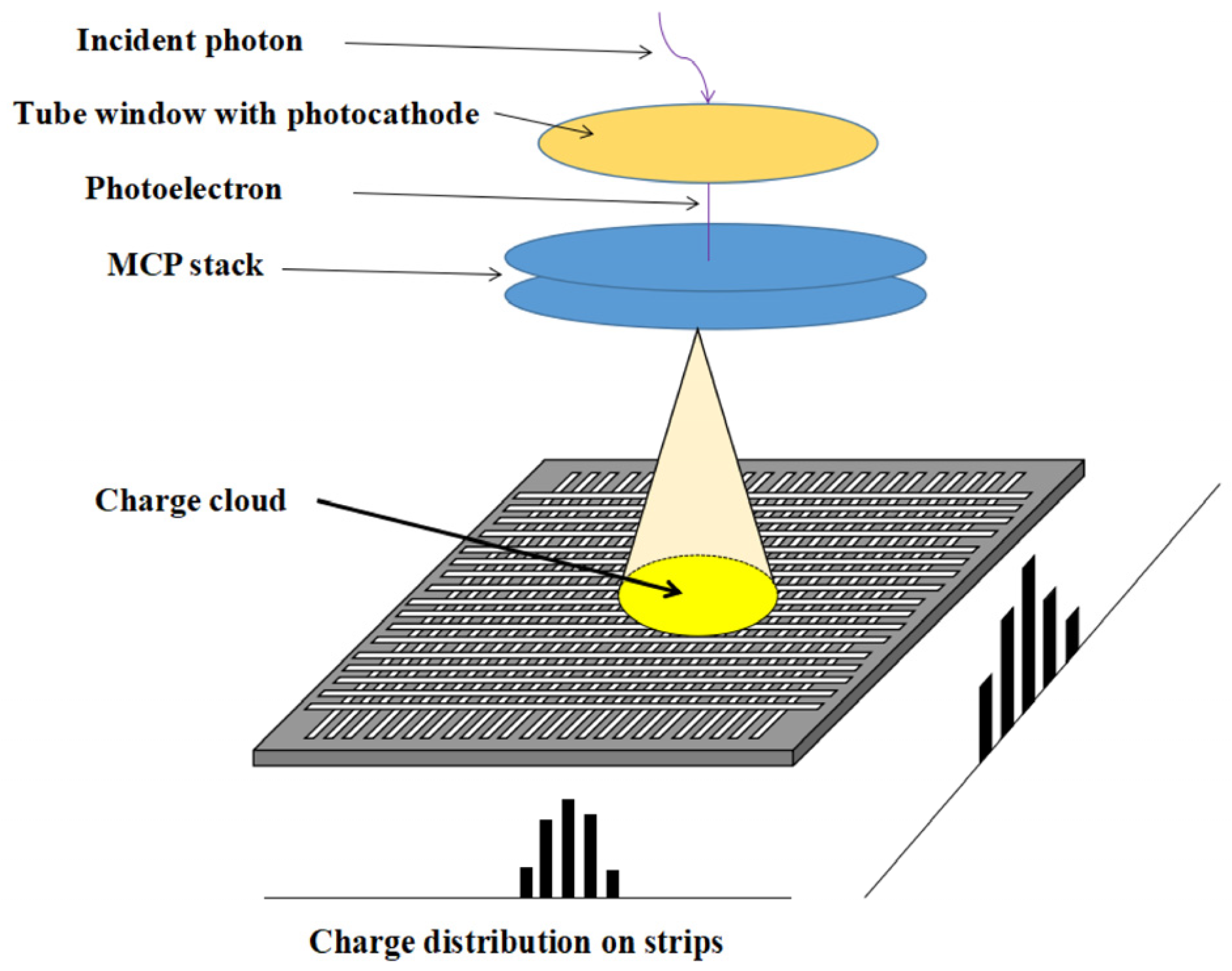 Applsci 14 02400 g001