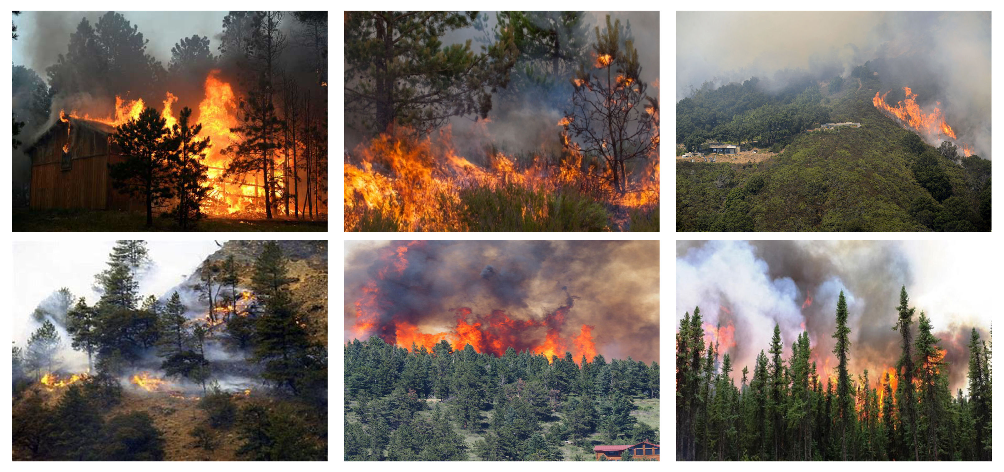 Applsci 14 02413 g001