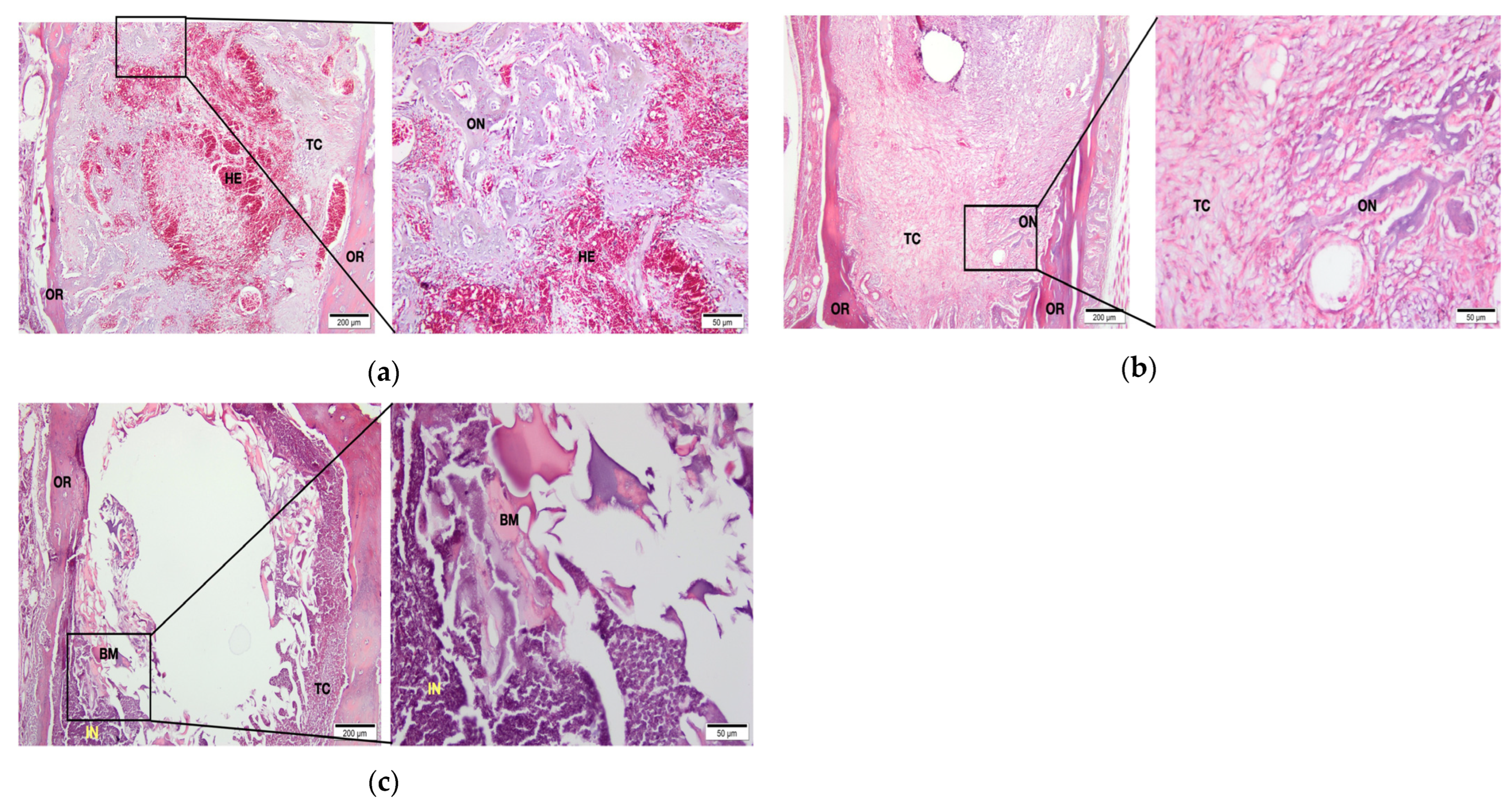Applsci 14 02415 g001