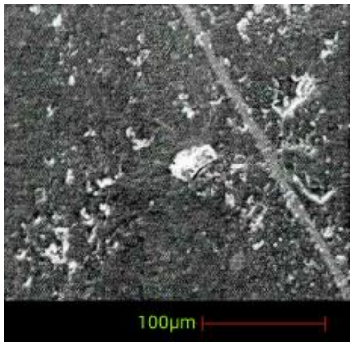 Applsci 14 02471 g009