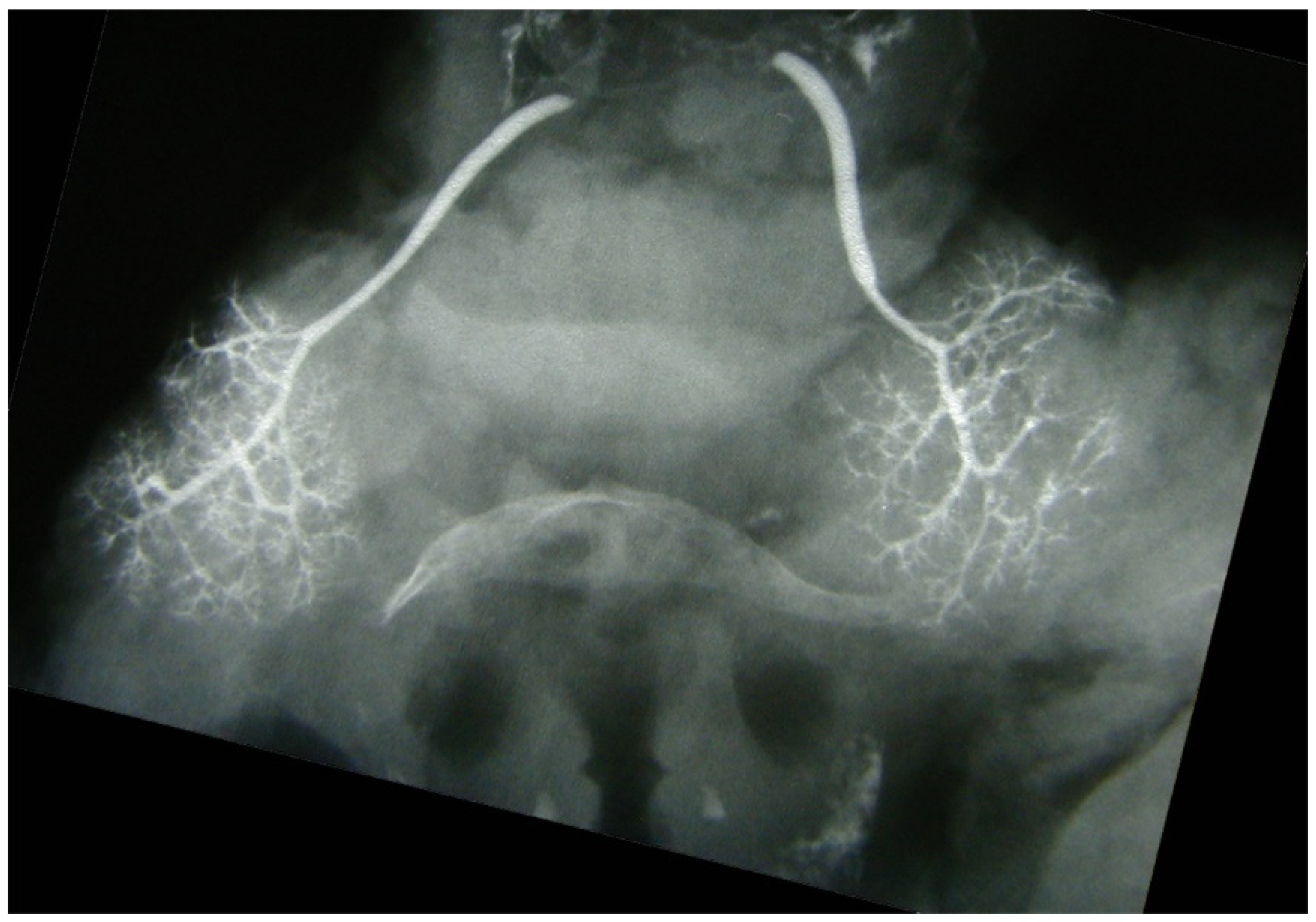 Applsci 14 02474 g001