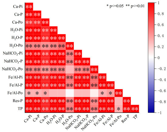 Characteristics and Release Risk of Phosphorus from
