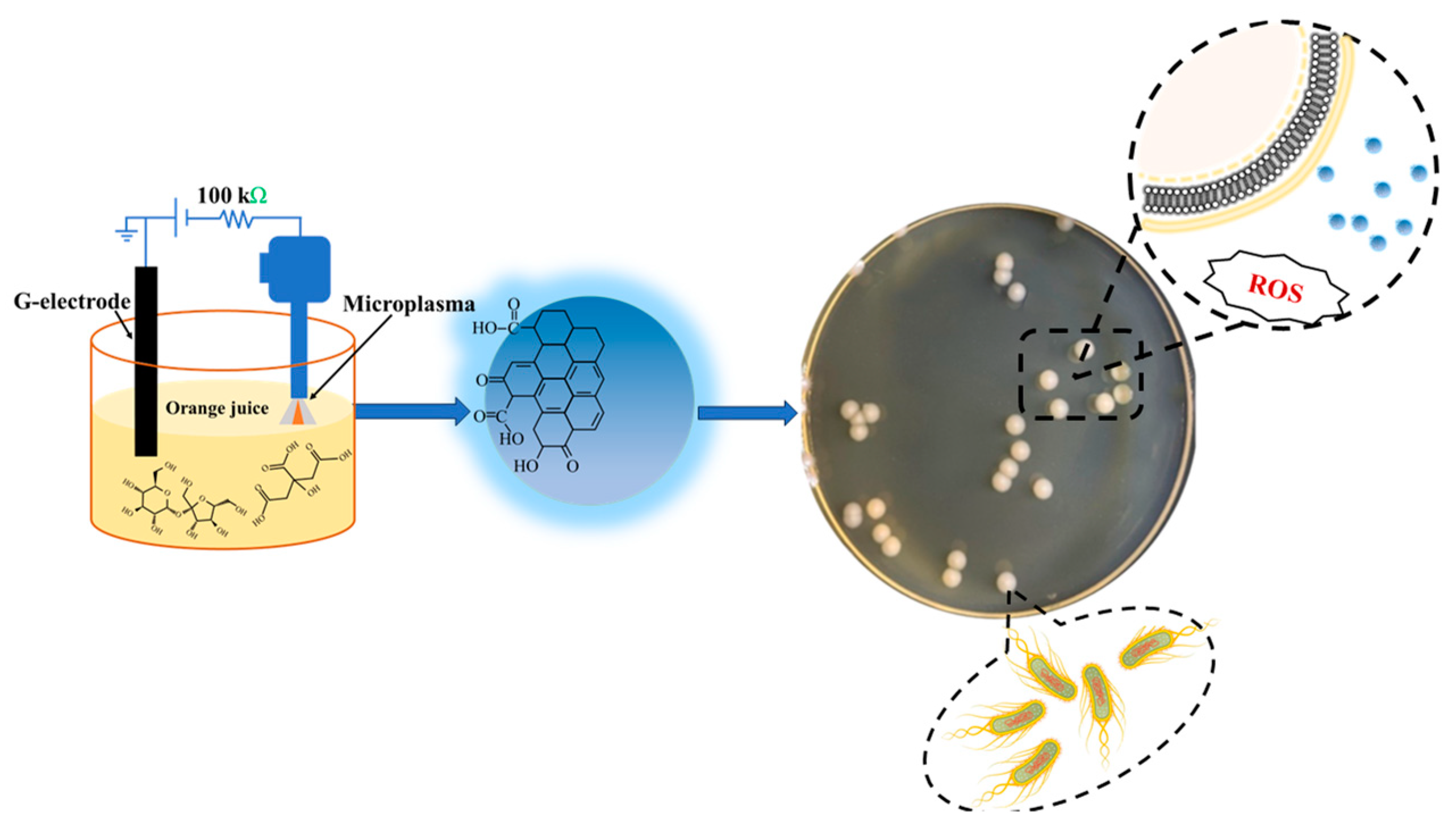 Applsci 14 02509 g001