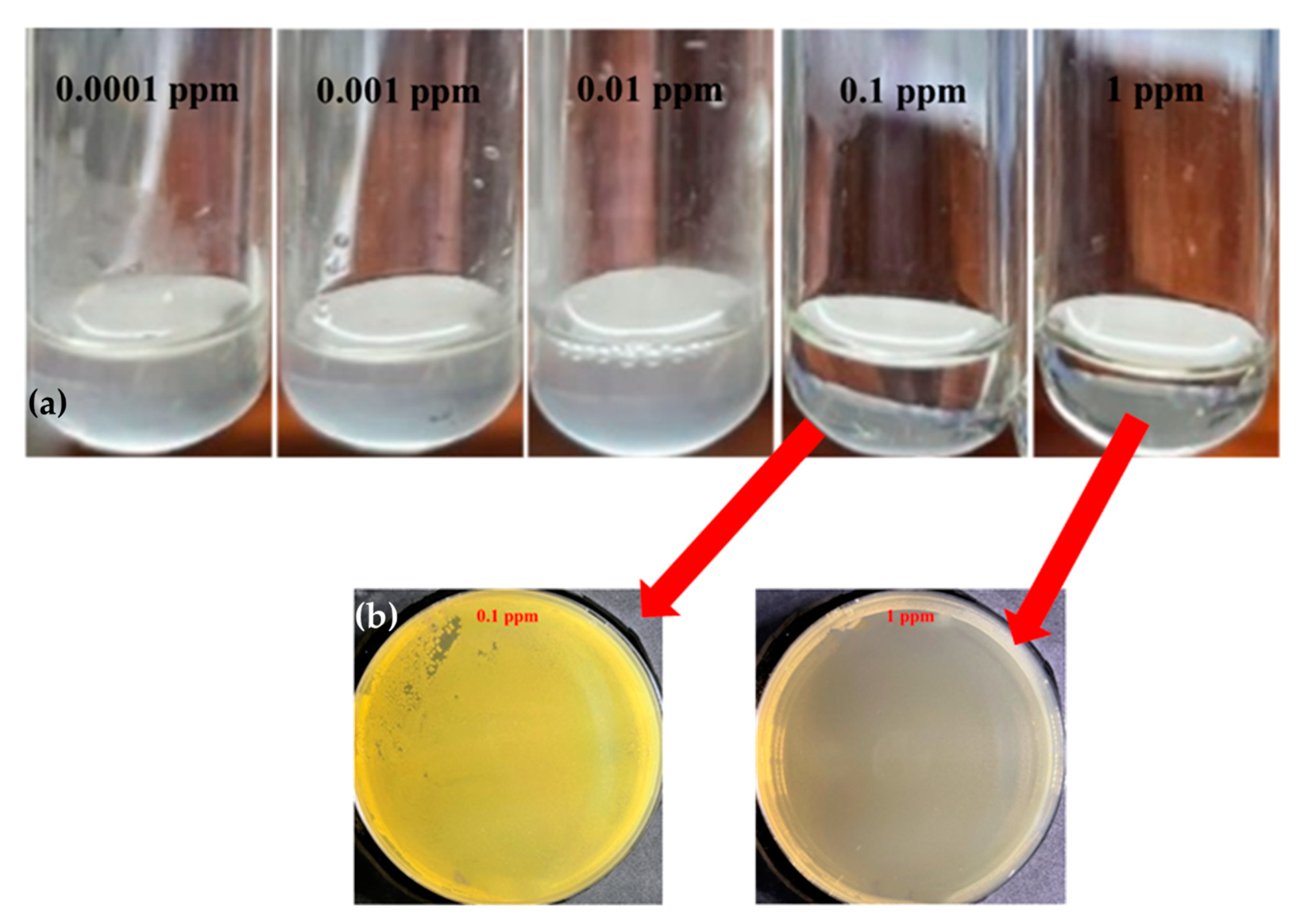 Applsci 14 02509 g005