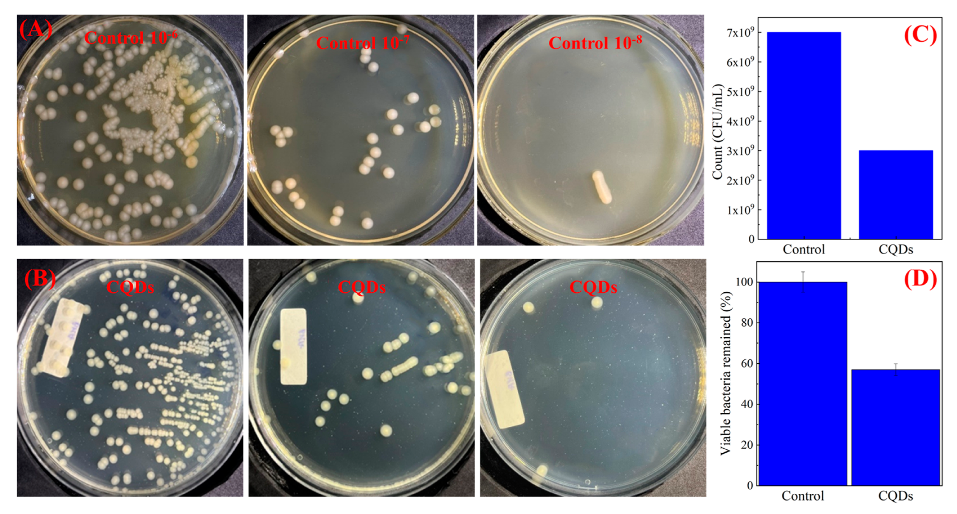 Applsci 14 02509 g006