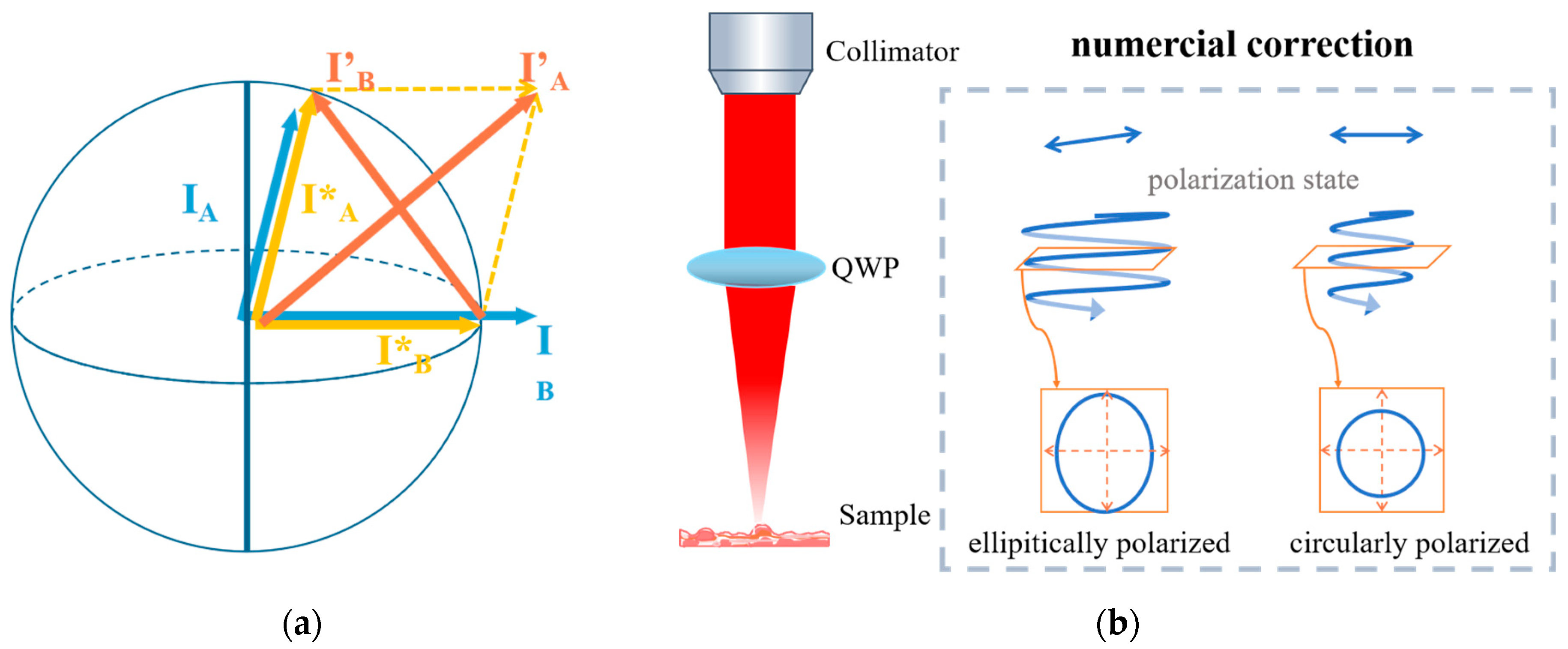 High-Sensitivity Polarization Sensitive Optical Coherence