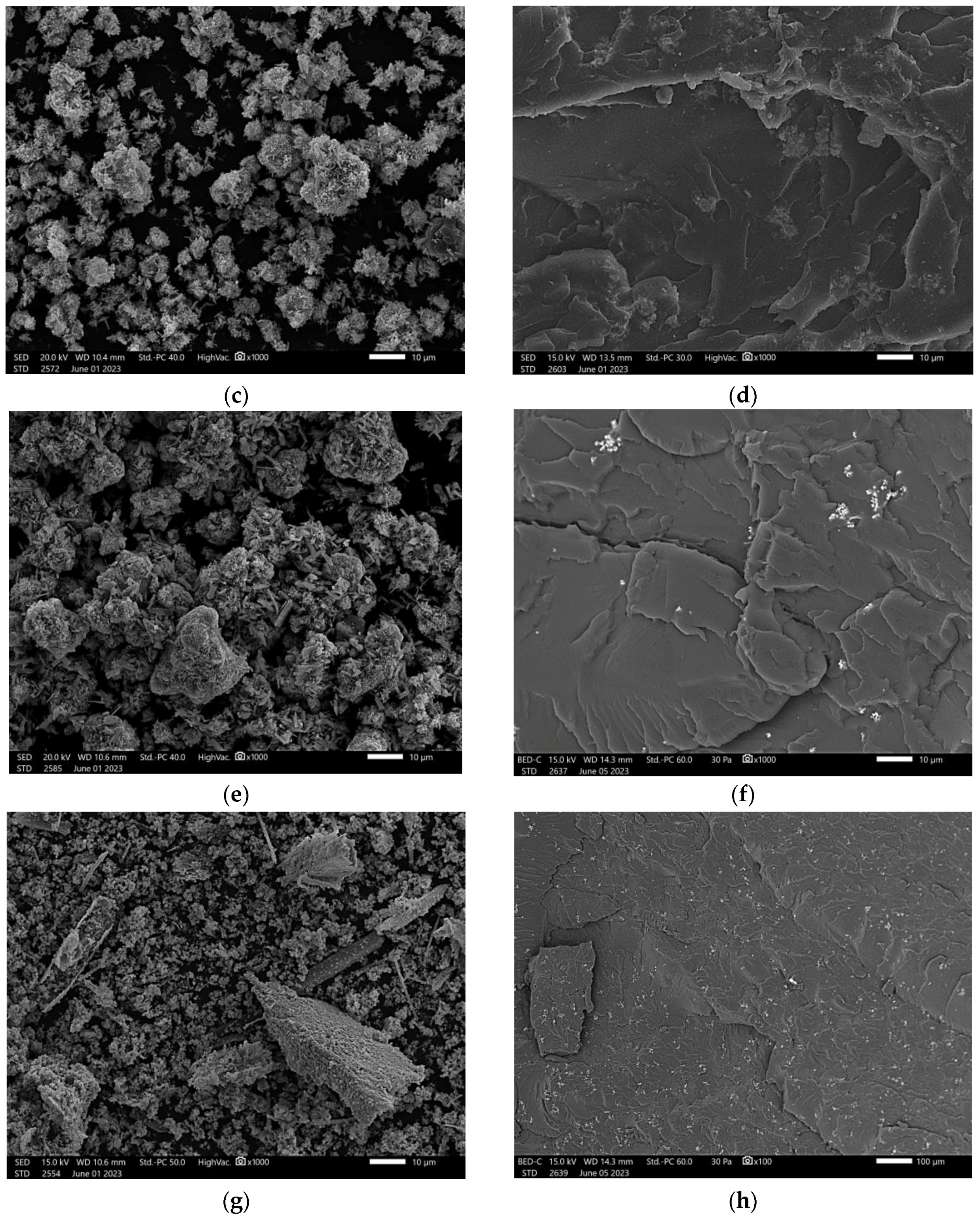 Applsci 14 02534 g004b