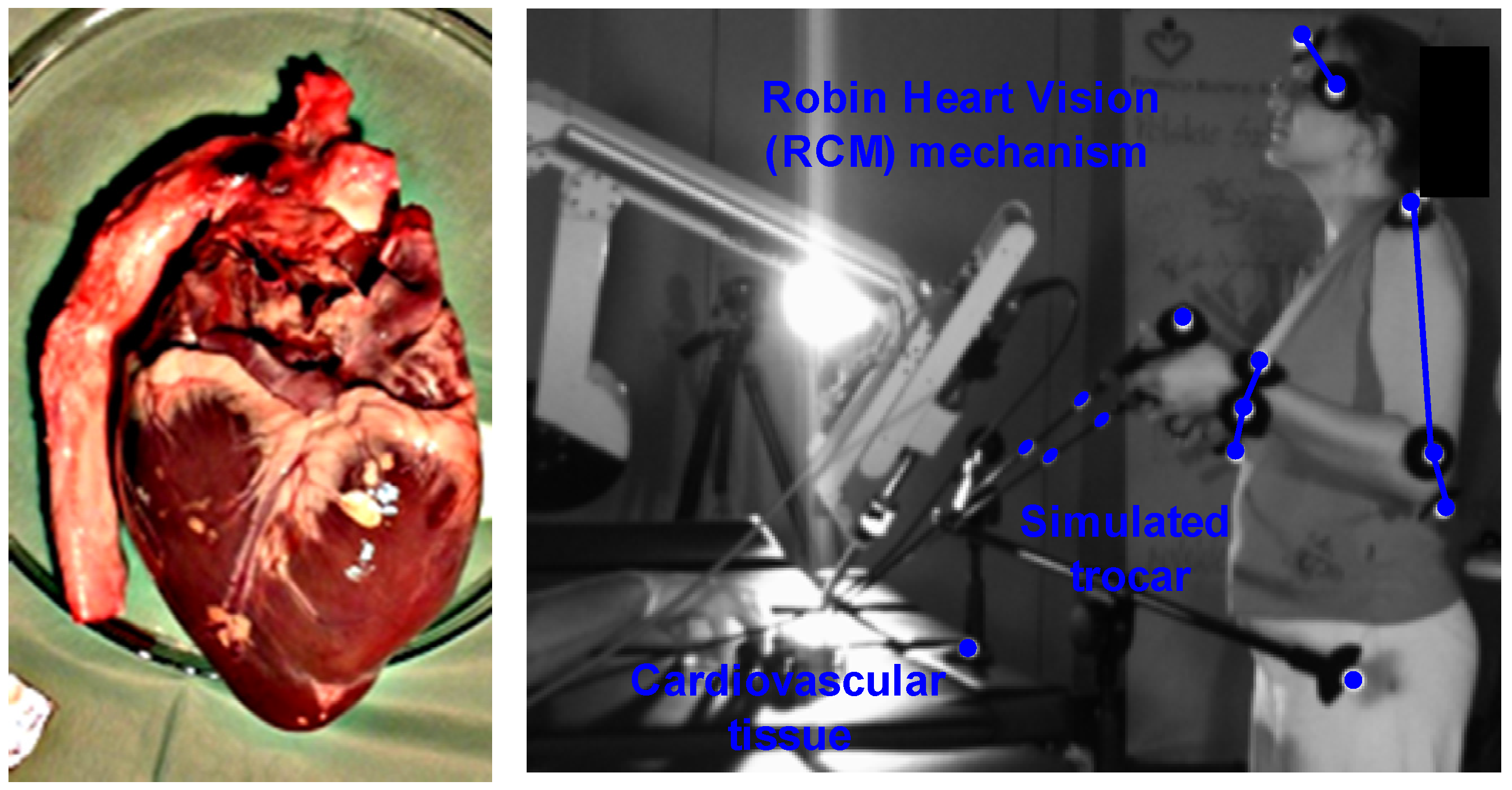 Applsci 14 02551 g003