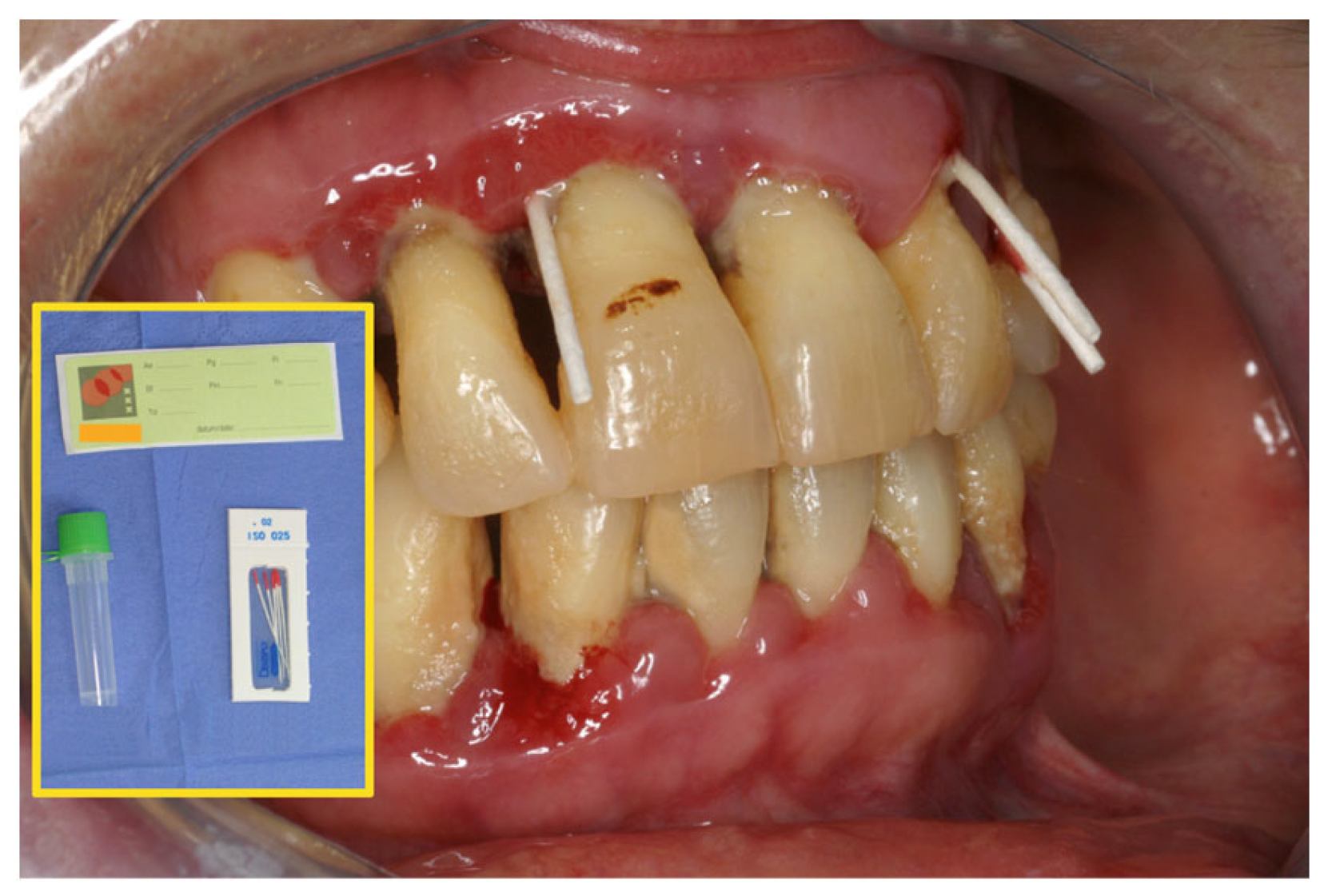 Applsci 14 02553 g001