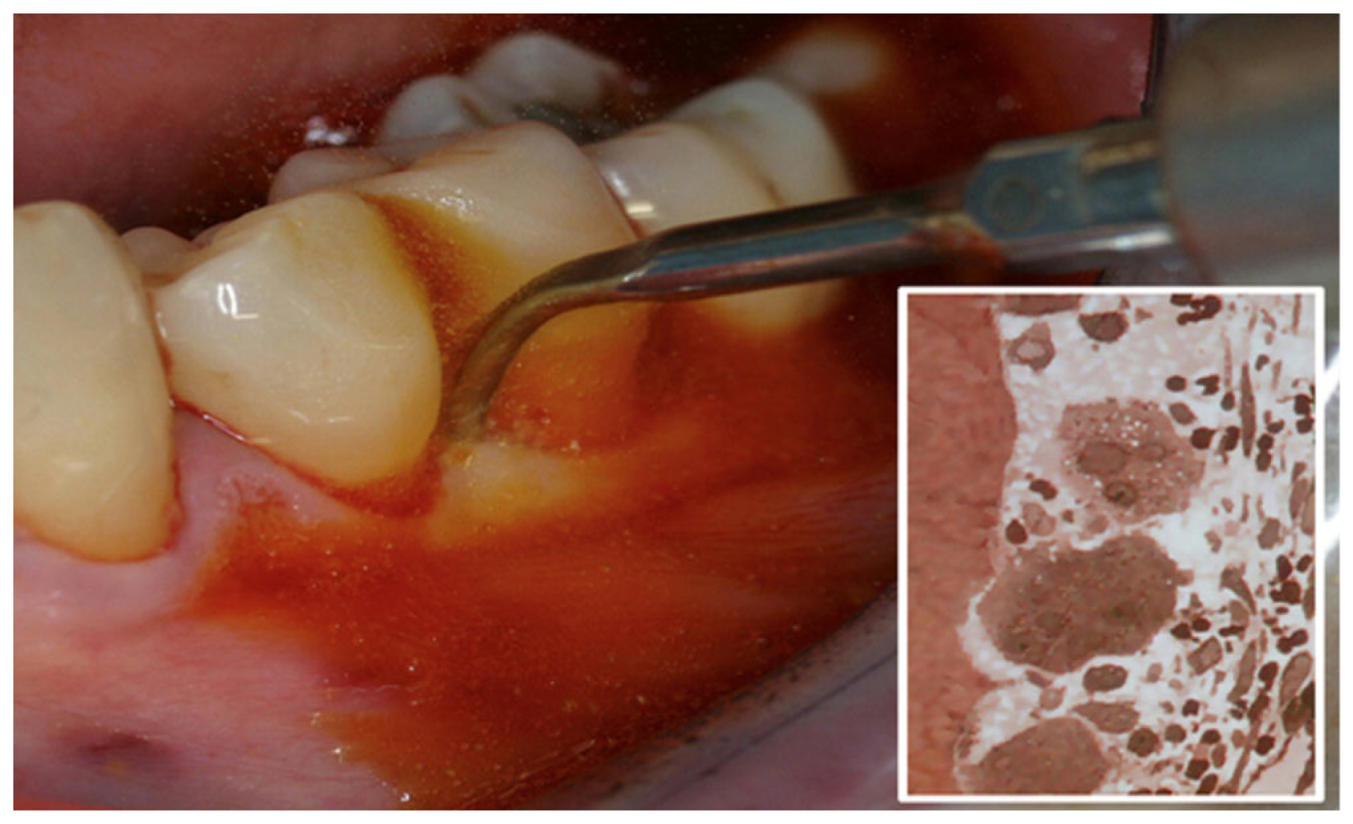 Applsci 14 02553 g003