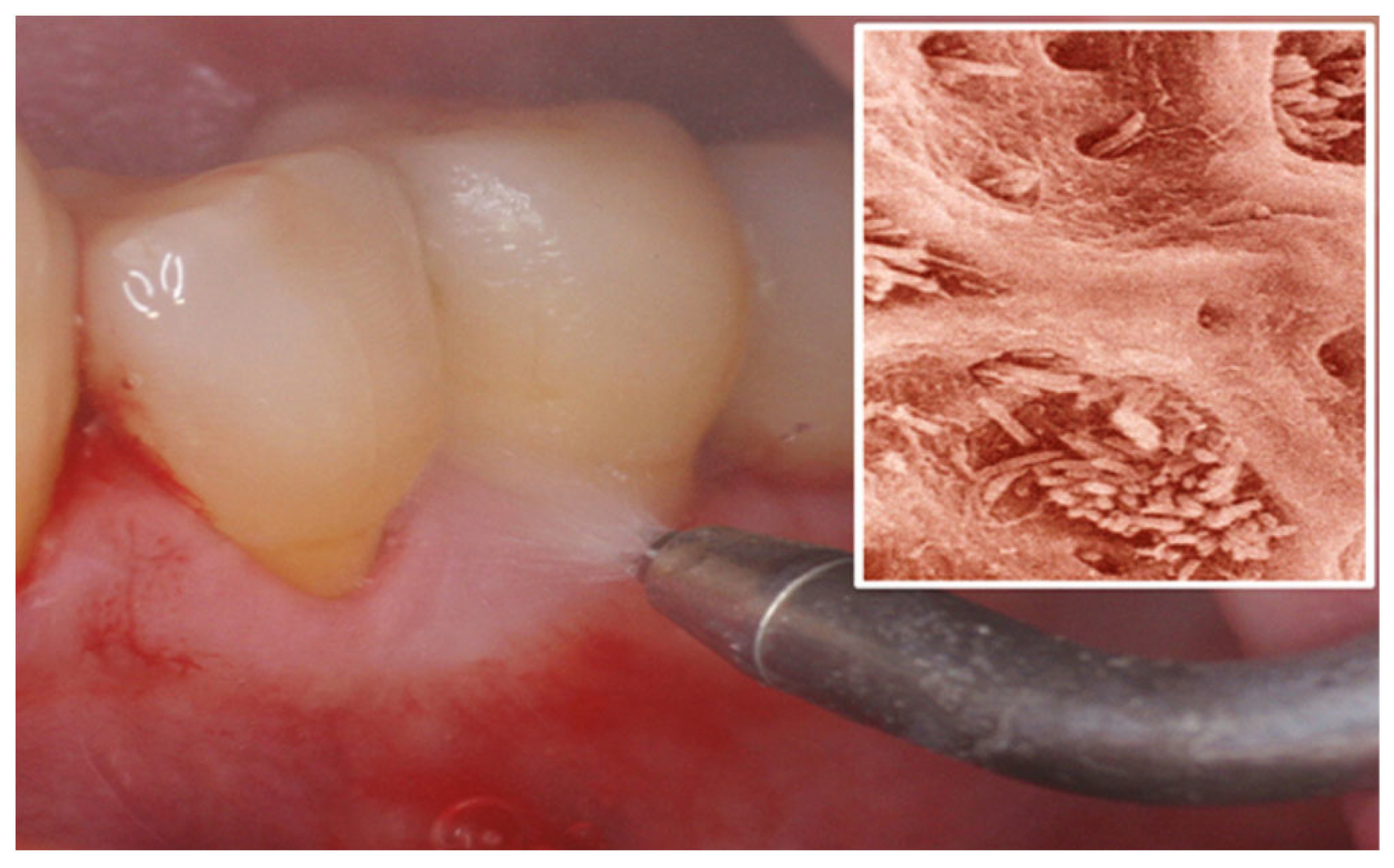 Applsci 14 02553 g004