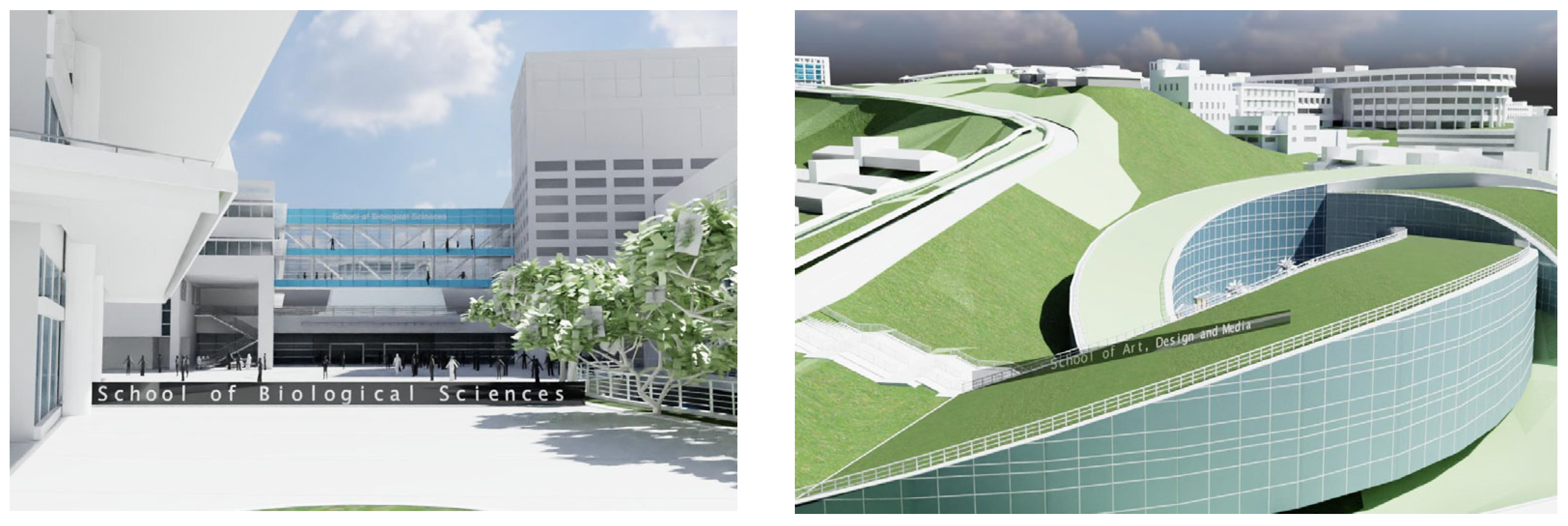 Applsci 14 02559 g005