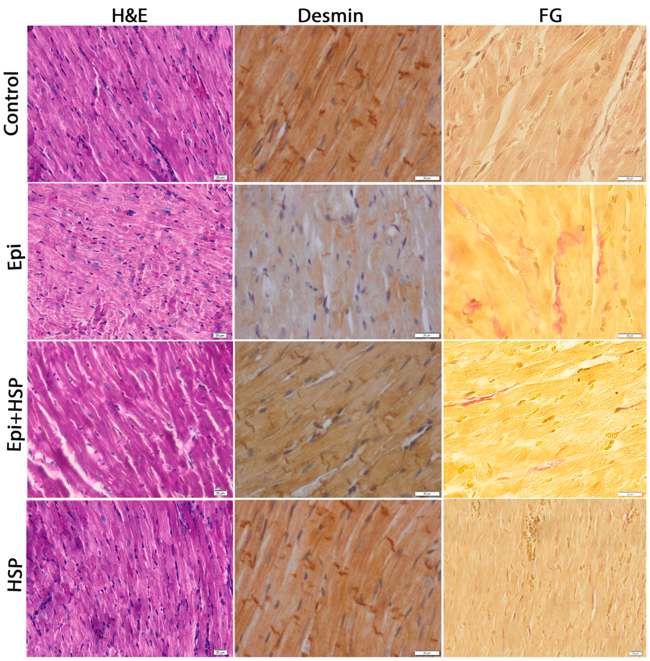 Applsci 14 02560 g001