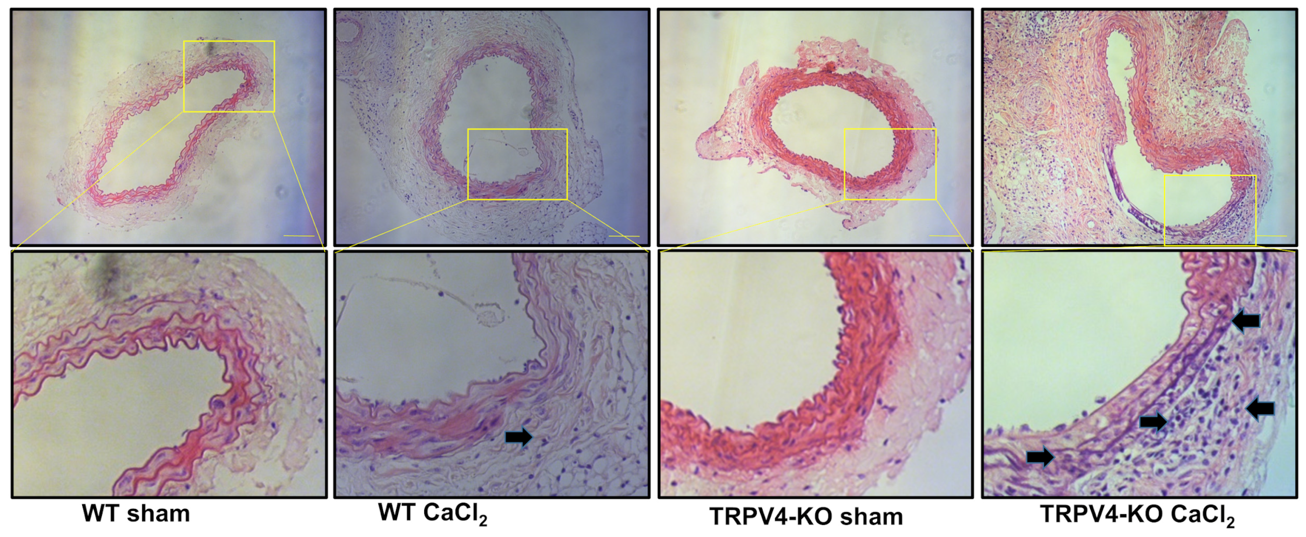 Applsci 14 02566 g003 Applsci 14 02566 g003