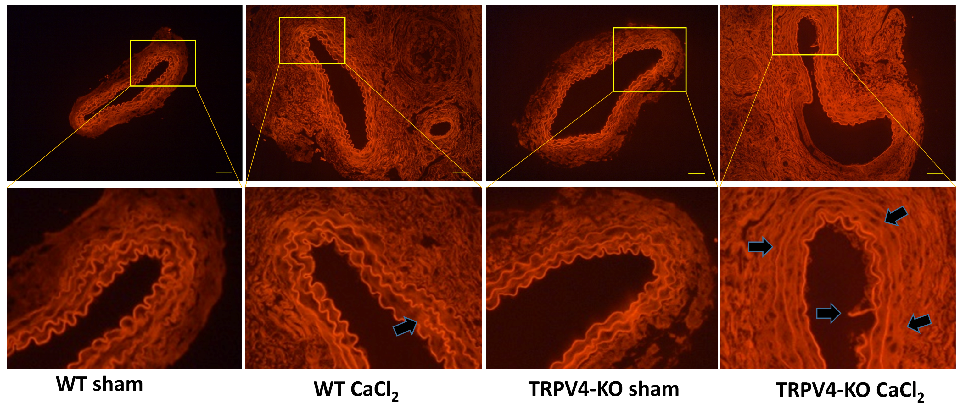 Applsci 14 02566 g004 Applsci 14 02566 g004