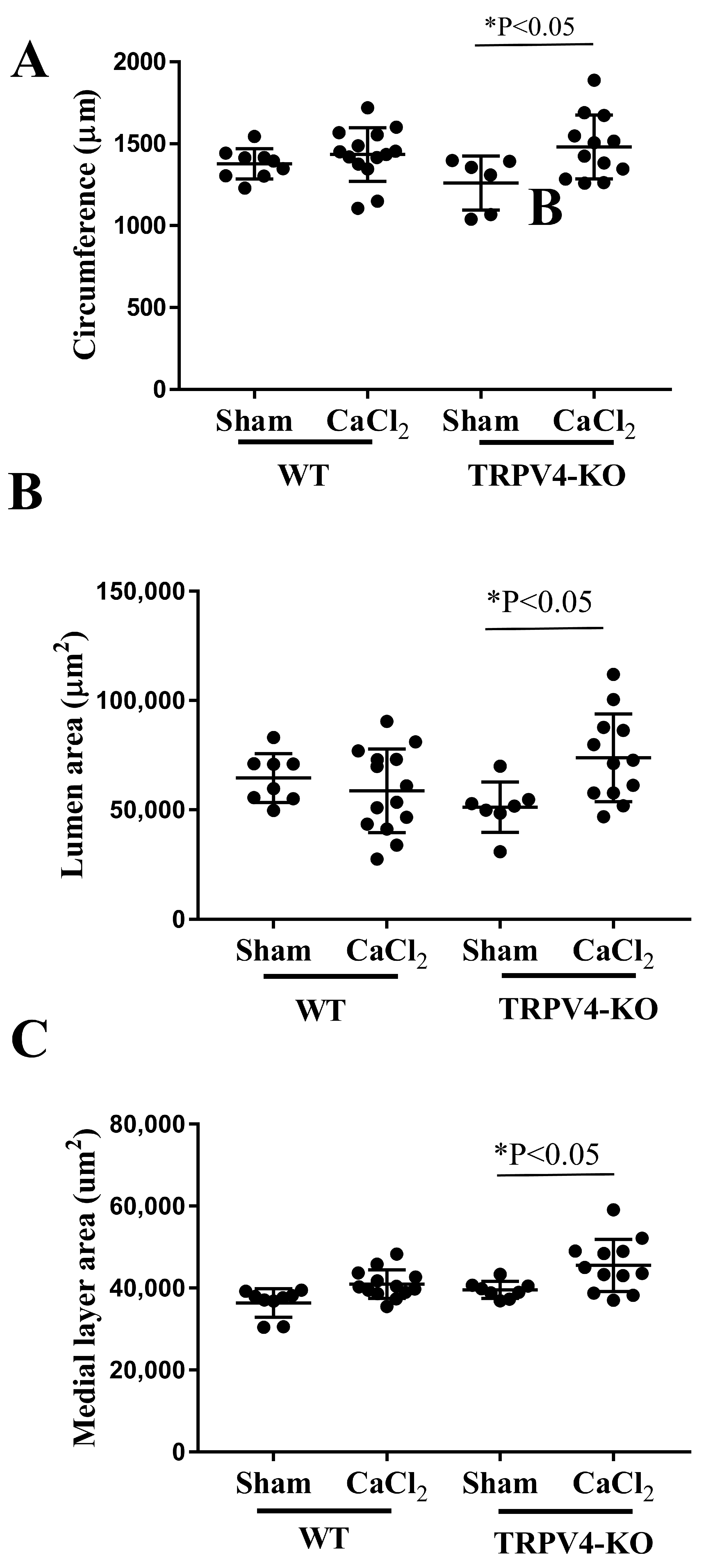 Applsci 14 02566 g005 Applsci 14 02566 g005