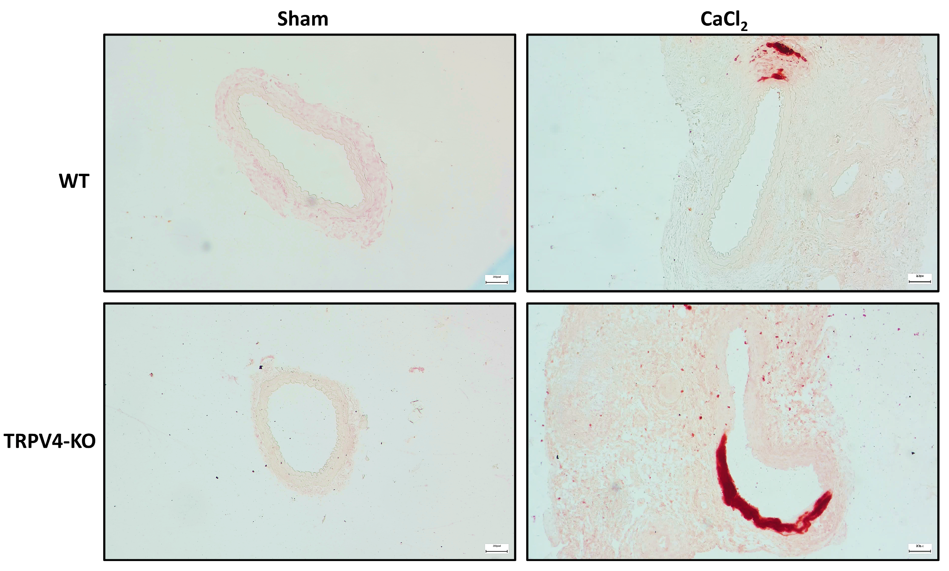 Applsci 14 02566 g006 Applsci 14 02566 g006