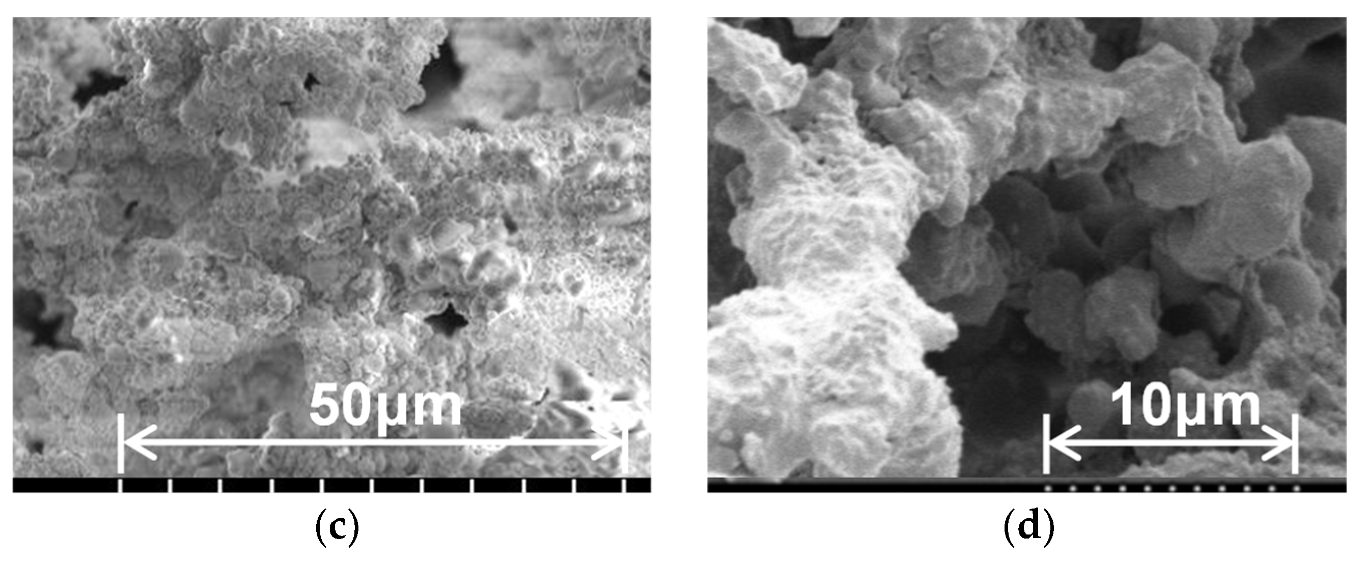 Applsci 14 02570 g010b