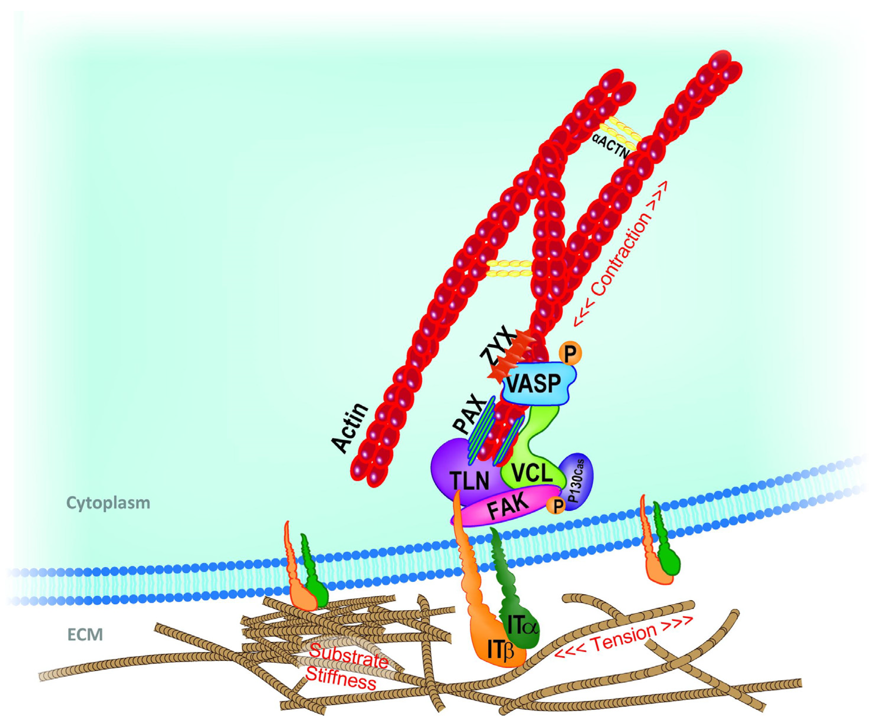 Applsci 14 02596 g001 Applsci 14 02596 g001